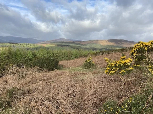 March/April 26 Round up