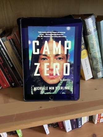 book review camp zero