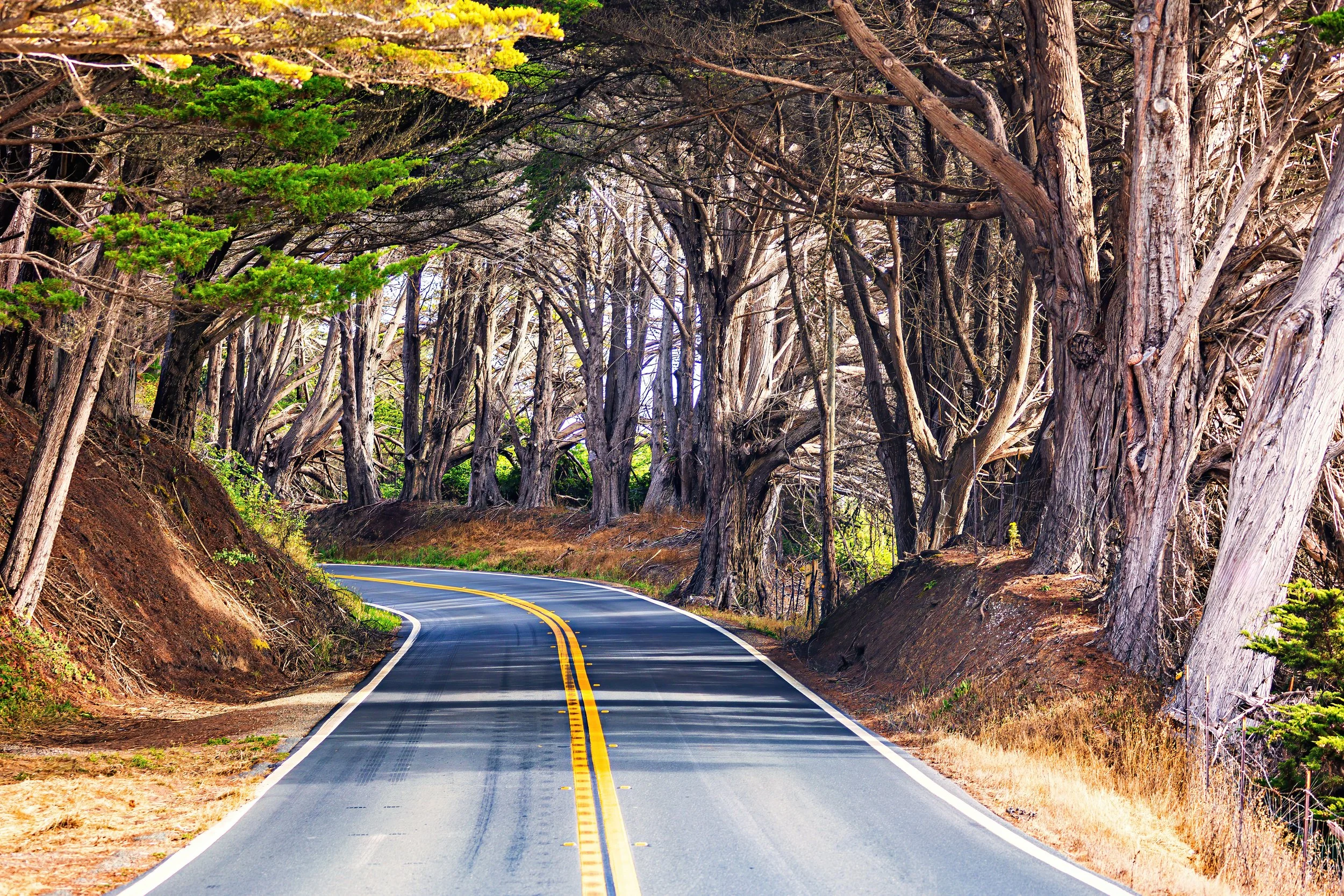 Exploring California’s Pacific Coastline: Our 2025 Vacation