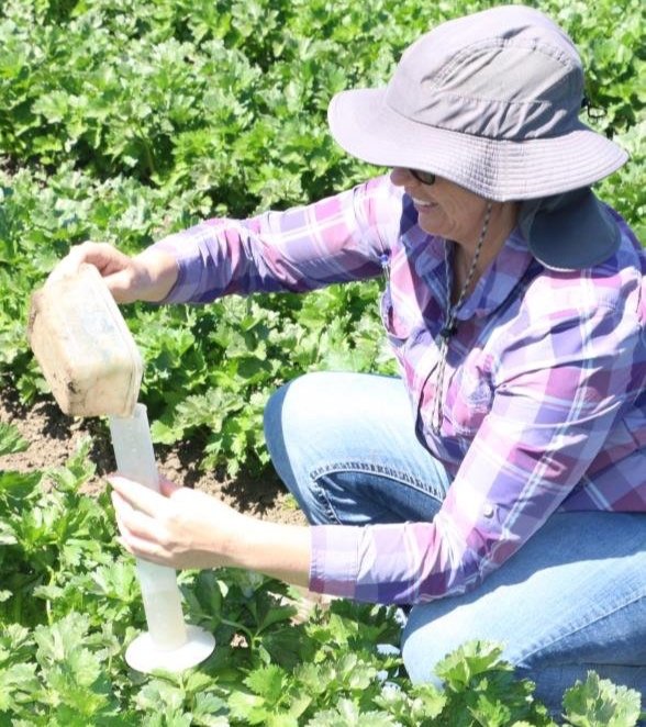 Tools and Approaches for Assessing and Improving Irrigation Efficiency in Drip Irrigated Row Crops
