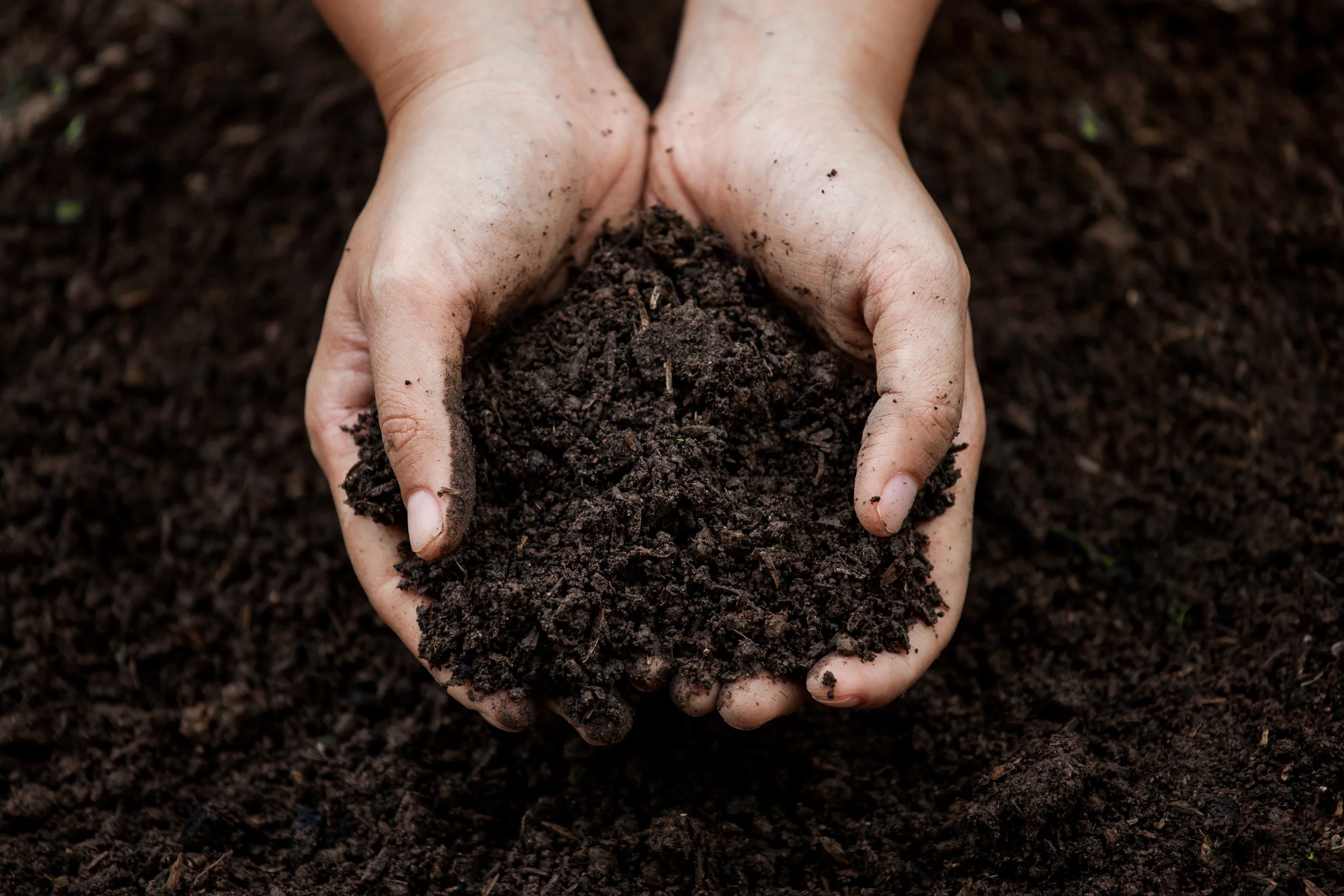 2025 Restore Grant Program: Grant Funds for Improving Soil Health