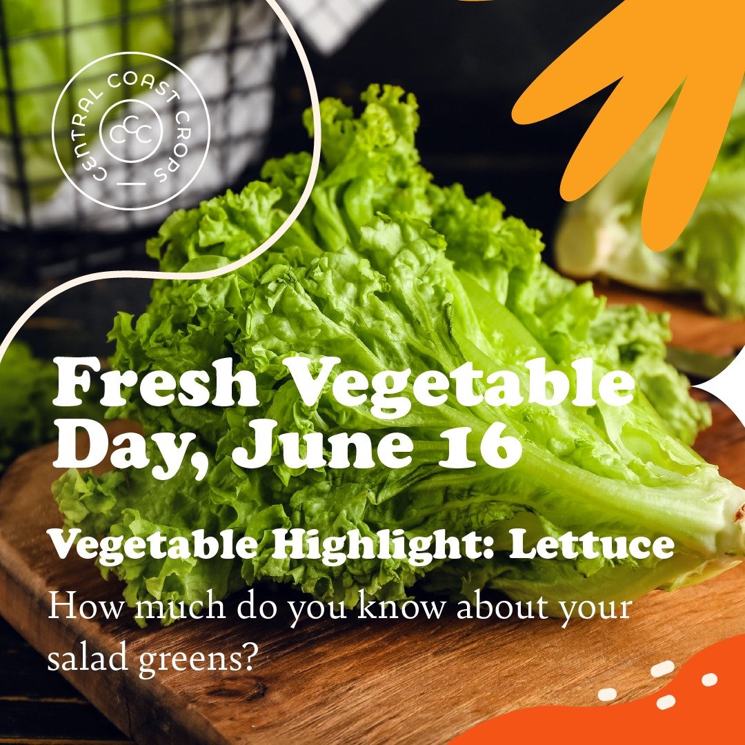 🥬 Happy Fresh Vegetable Day! A common fresh vegetable folks eat is lettuce. How much do you know about your salad greens?

Lettuce is Santa Clara&rsquo;s third top valued crop at $34.5 million in 2023 according to the county&rsquo;s Crop Report. Did
