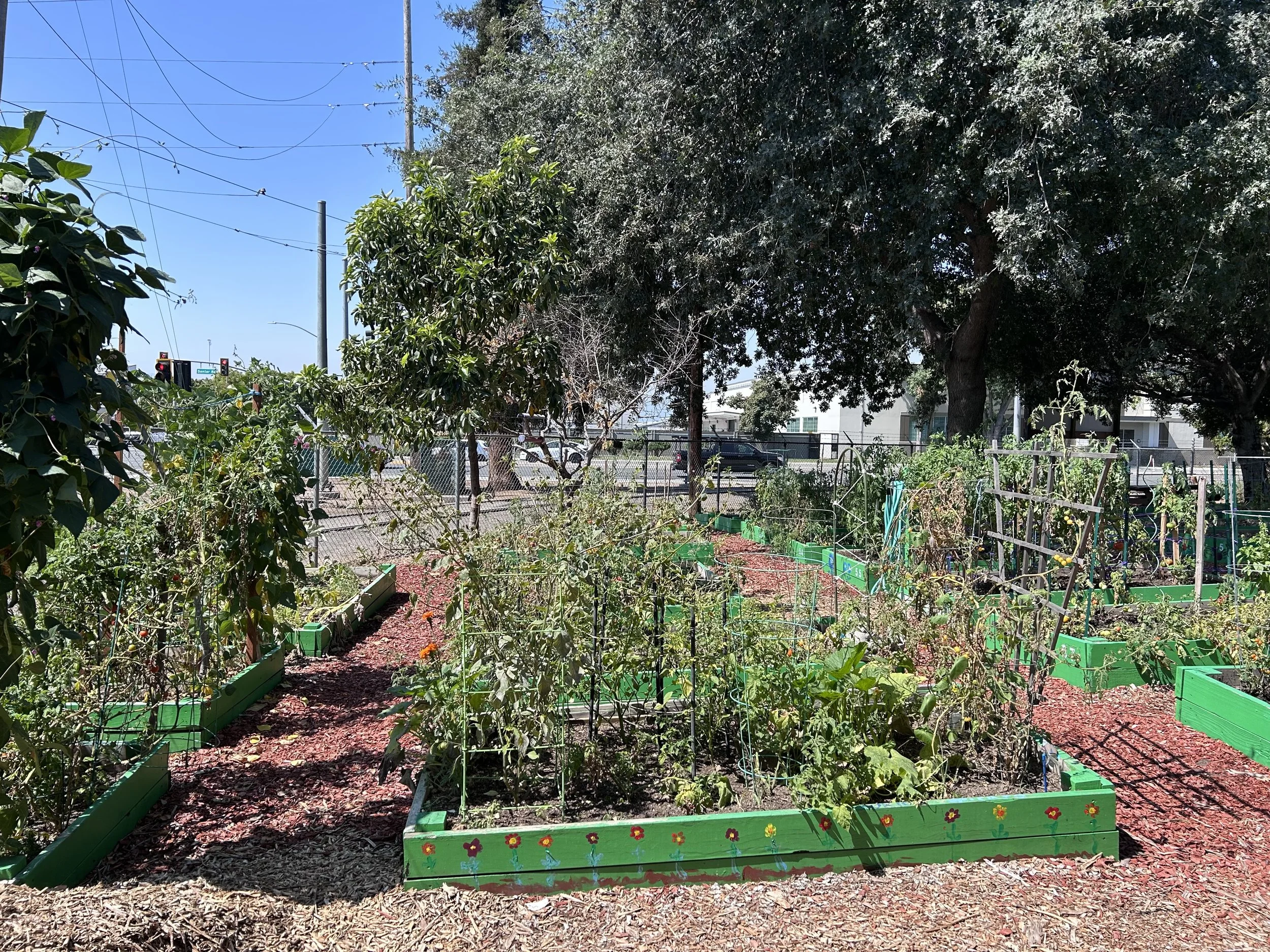 Santa Clara County Land Access Guide