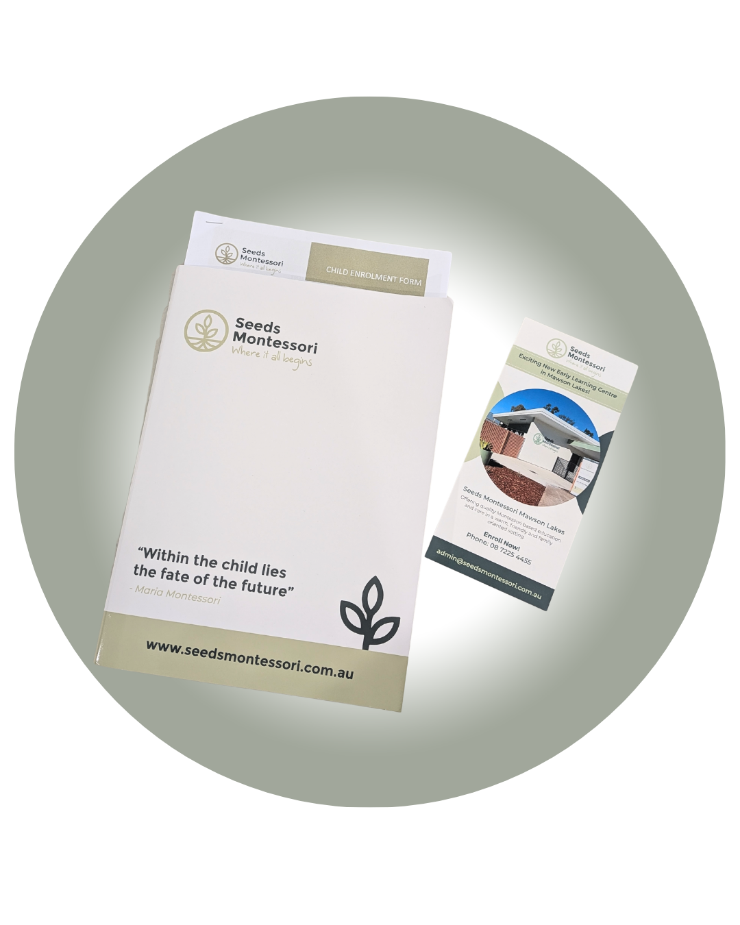 Brochure and flyer for Seeds Montessori, including a child enrollment form, a quote by Maria Montessori, and contact information.