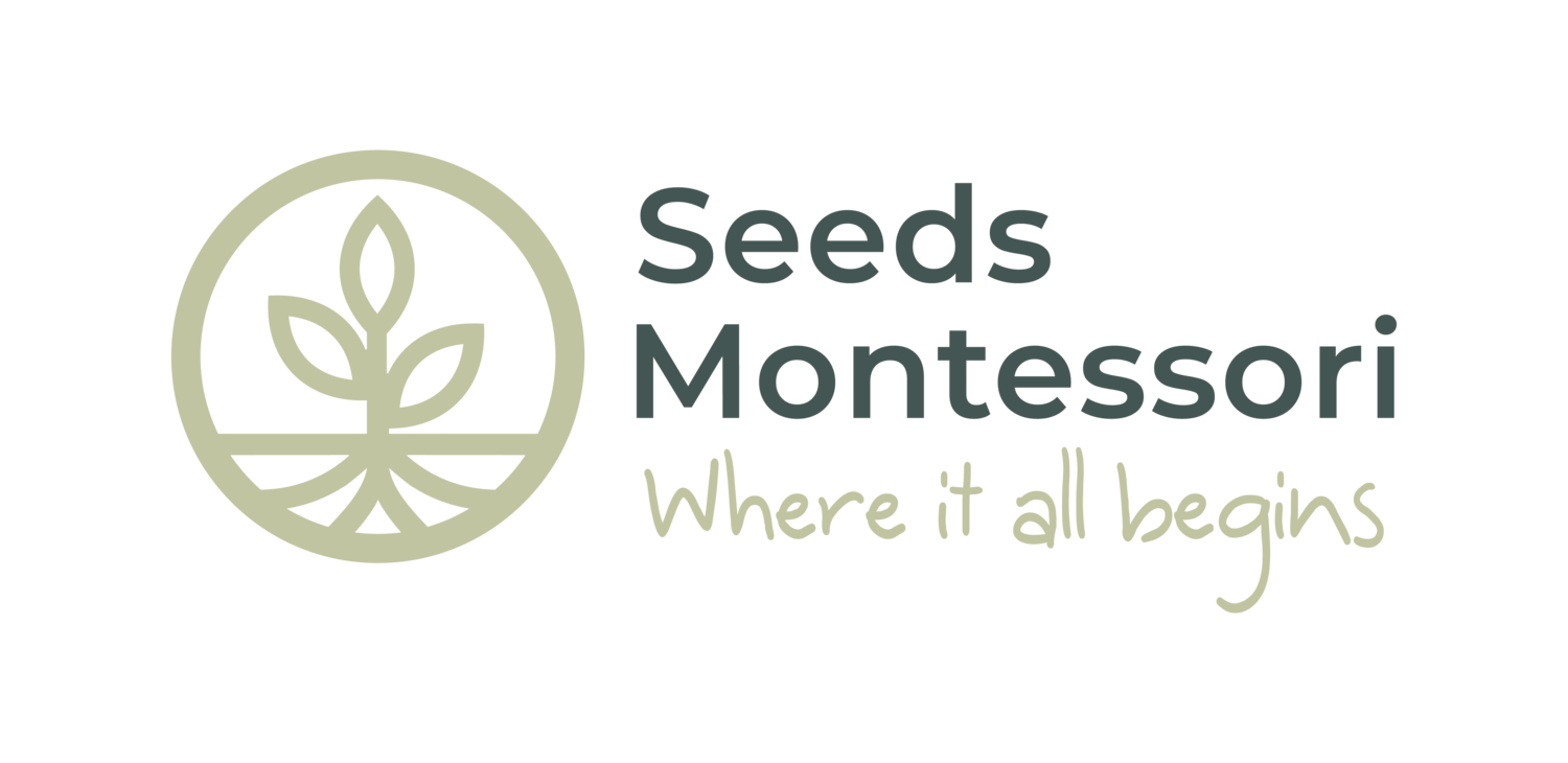 Seeds Montessori