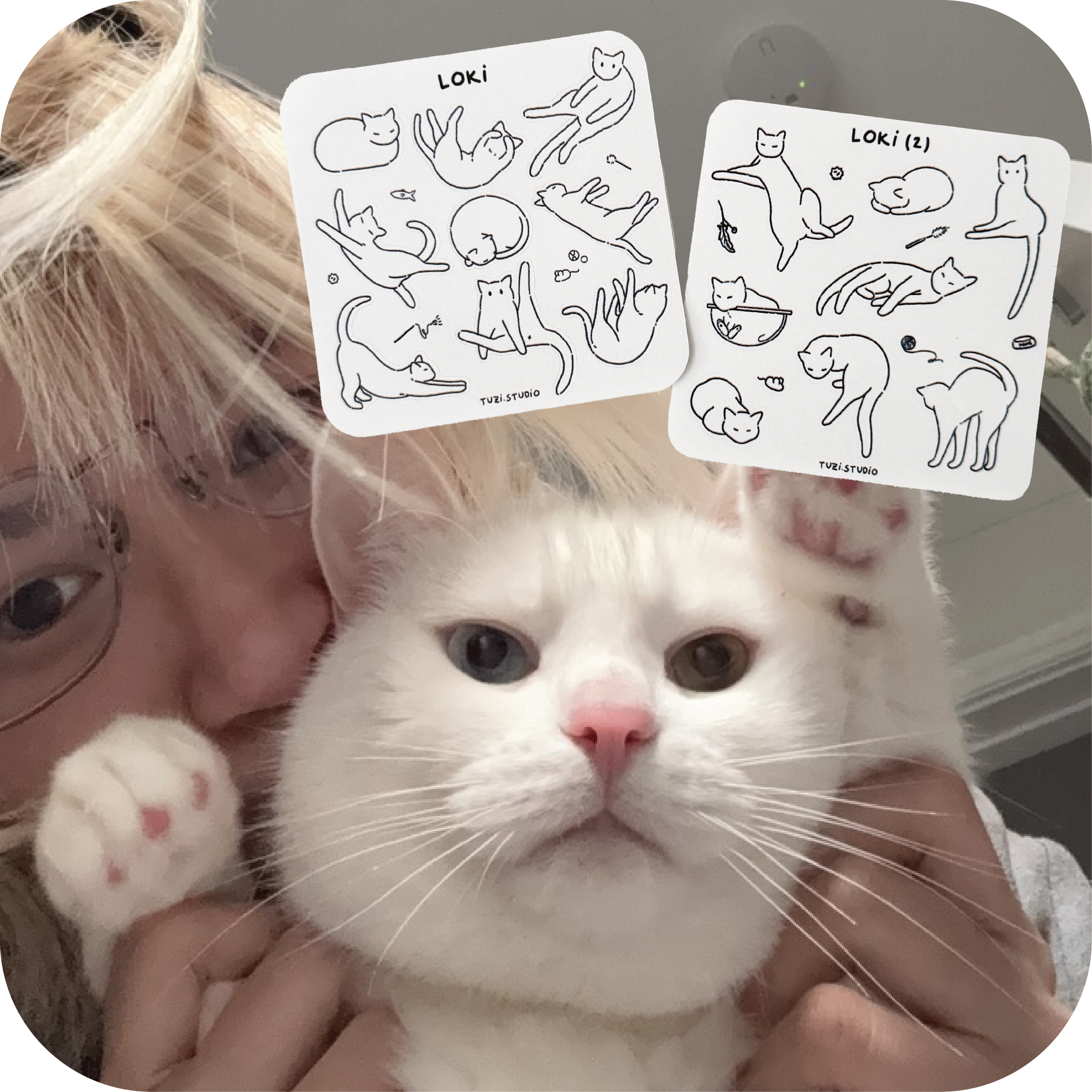 website photos 1x1-06.png