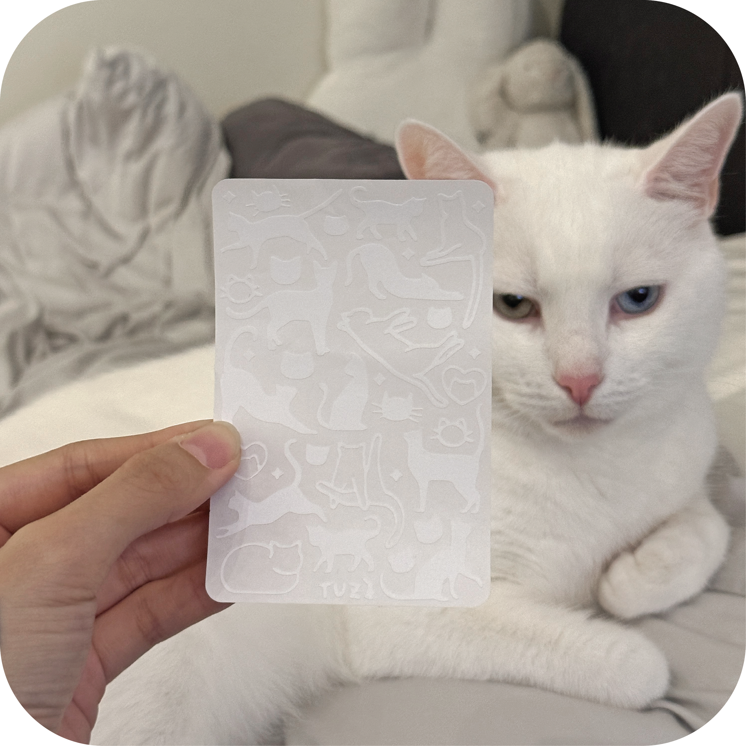 catcut_round-02.png