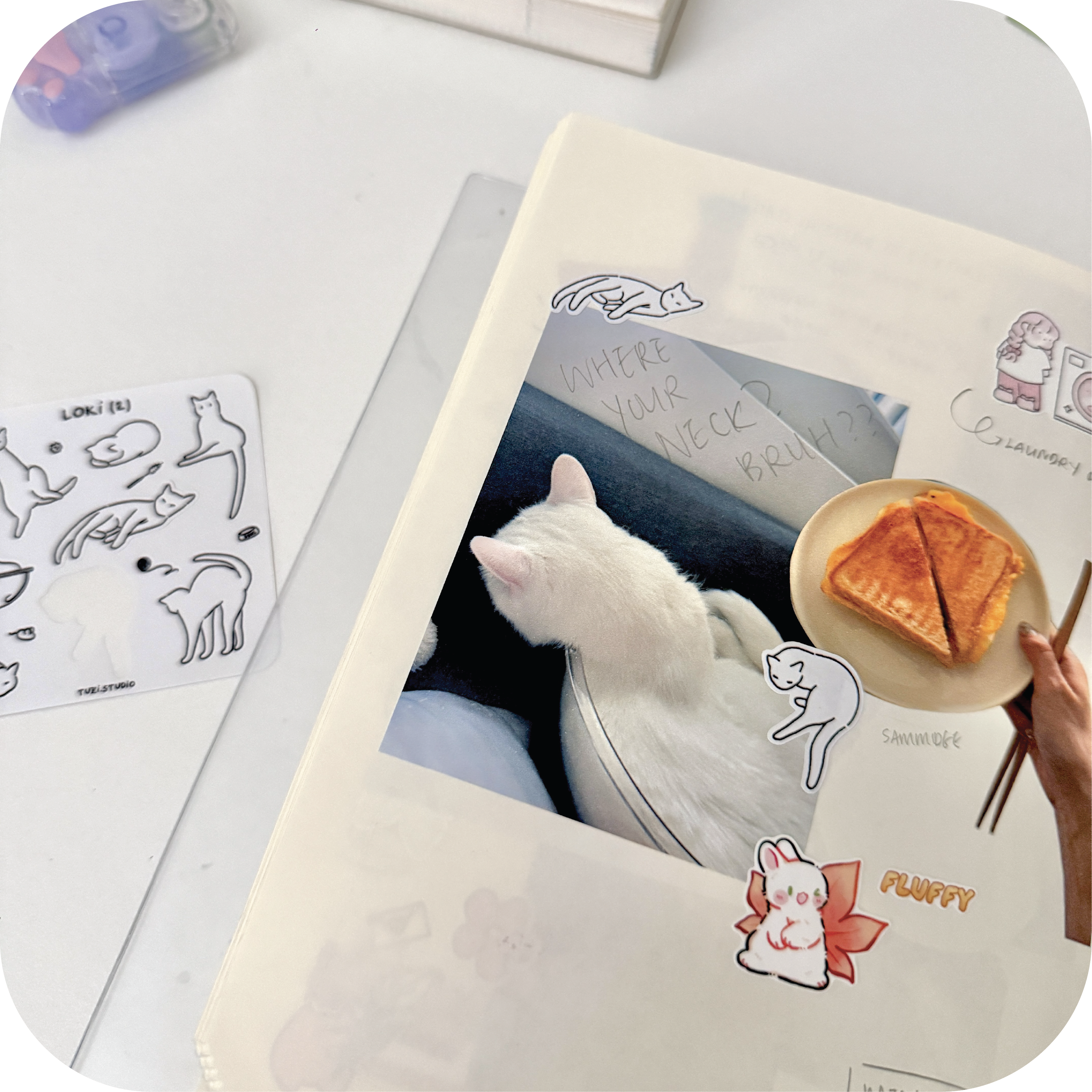 website photos 1x1-05.png