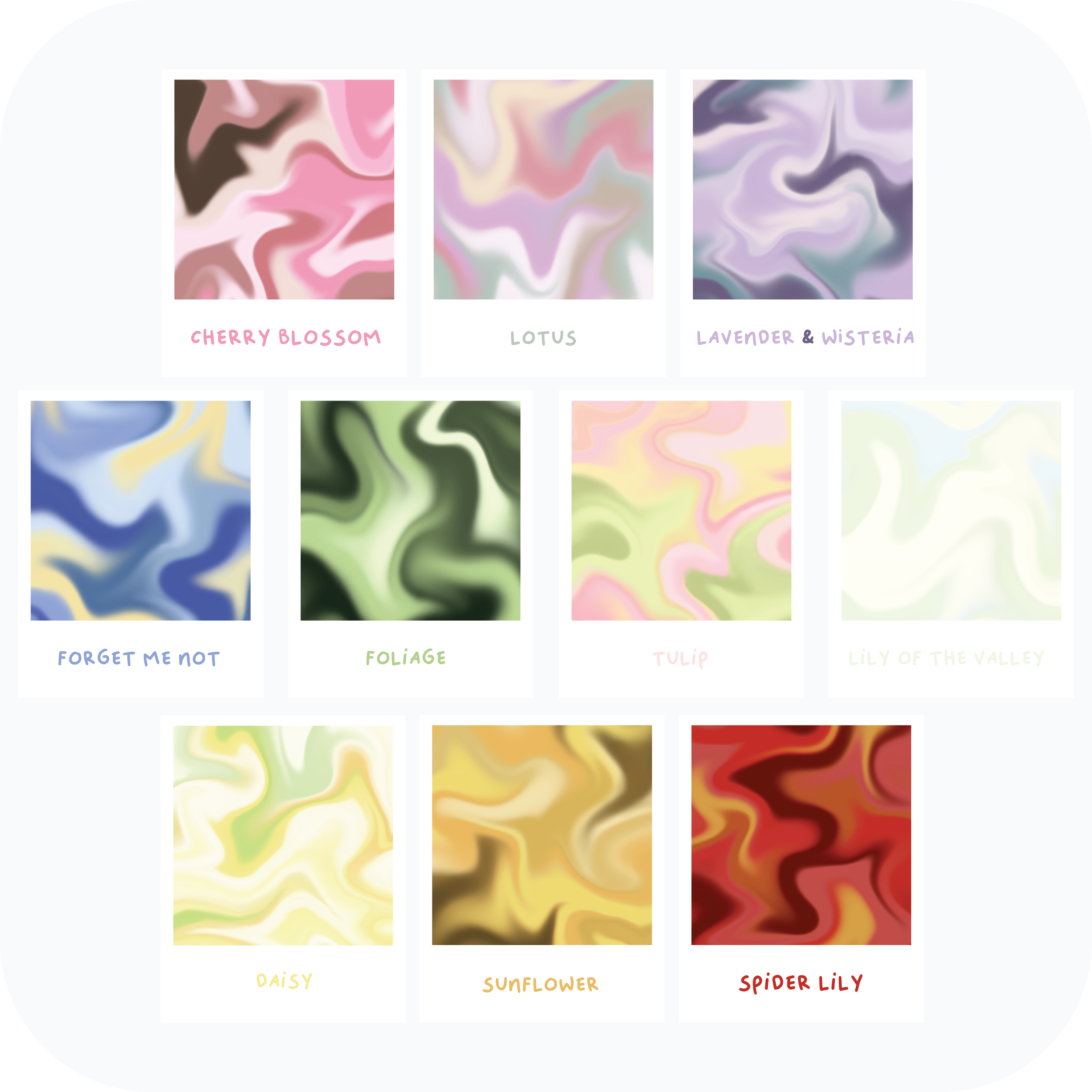 coquette palettes-02.png