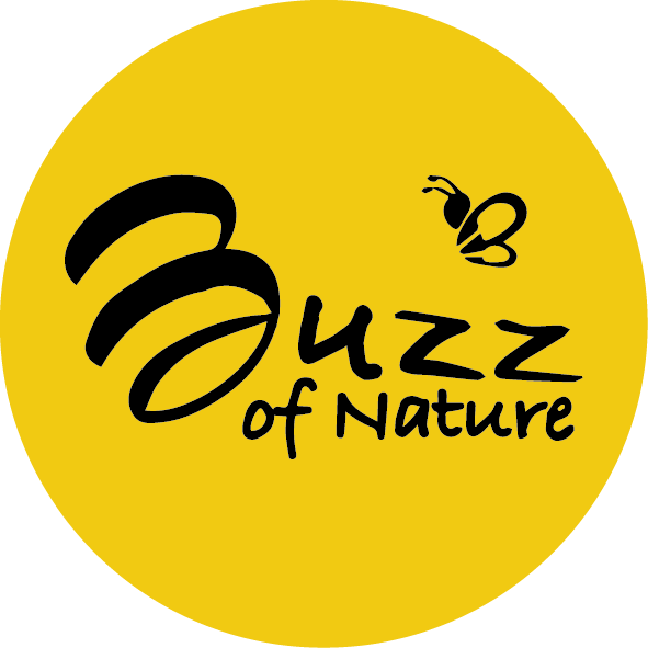 Buzz Of Nature