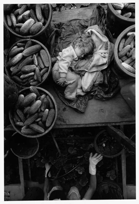 image_manager__lobp_fixedheight-m_larry-towell-the-mennonites-leica-oskar-barnack-award-1996-11.jpeg