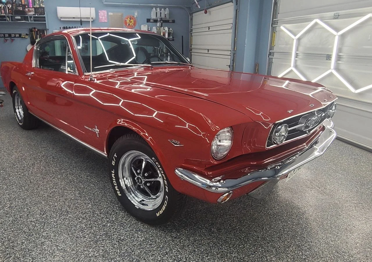Mustang.jpg