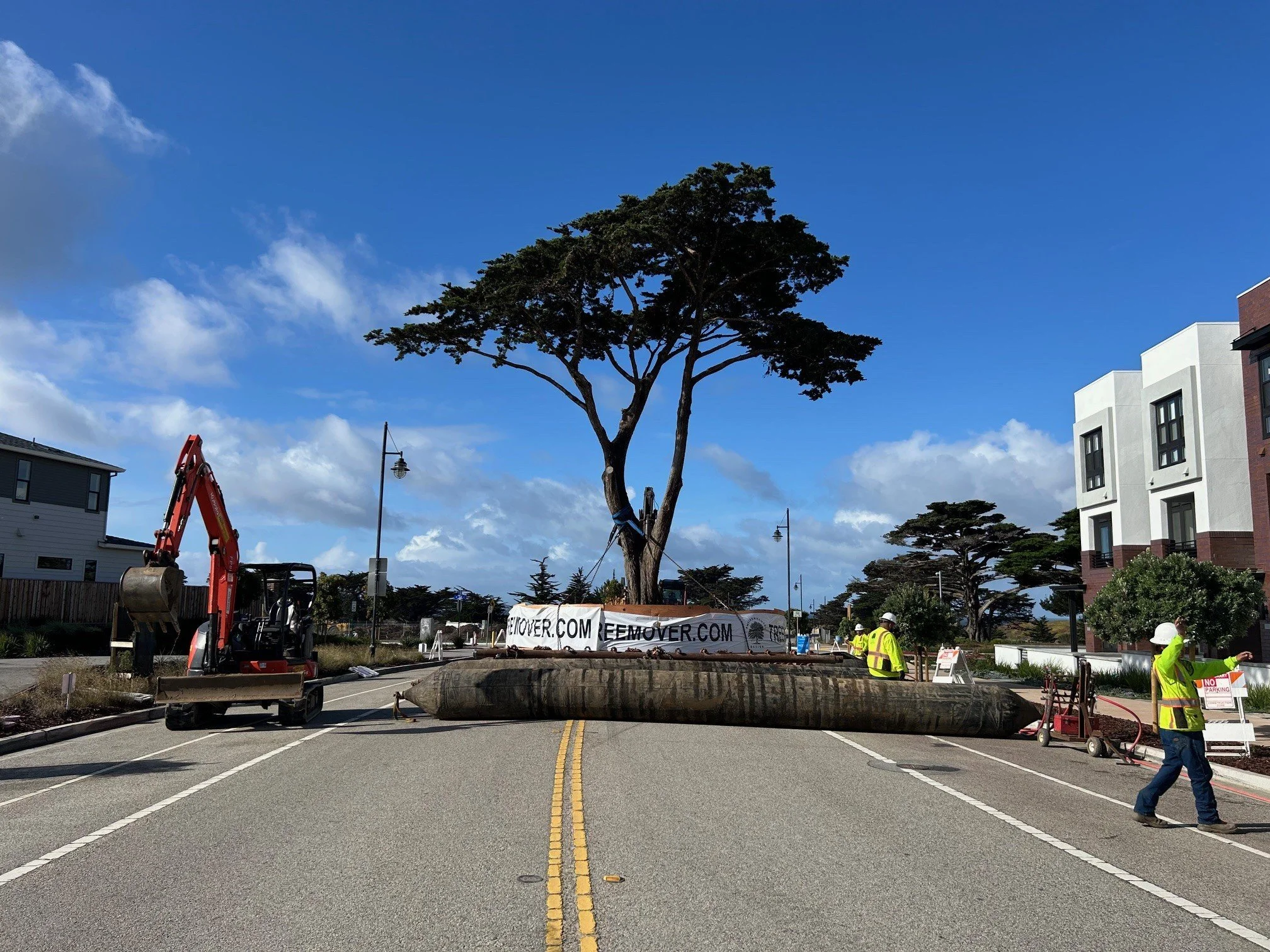 fort-ord-commemorative-circle-07-tree-move.jpg