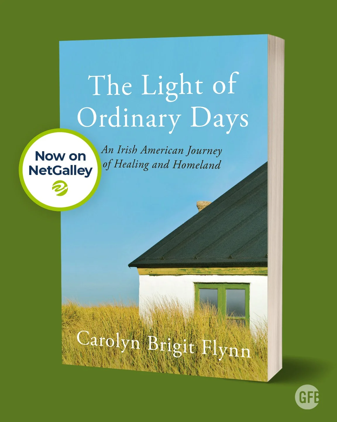How do we reassemble ourselves after tragedy&mdash;and make a true home by honoring the places and people who came before?

THE LIGHT OF ORDINARY DAYS by Carolyn Brigit Flynn is now available for request on NetGalley! 📖

In 2013, exactly a century a