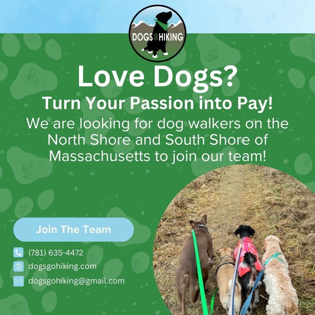 At Dogs Go Hiking, we&rsquo;re more than just a dog walking service&mdash;we&rsquo;re a community of dog lovers dedicated to providing adventure and care for our furry clients! 🐕❤️ 

Whether you&rsquo;re looking for a full-time career or a fulfillin