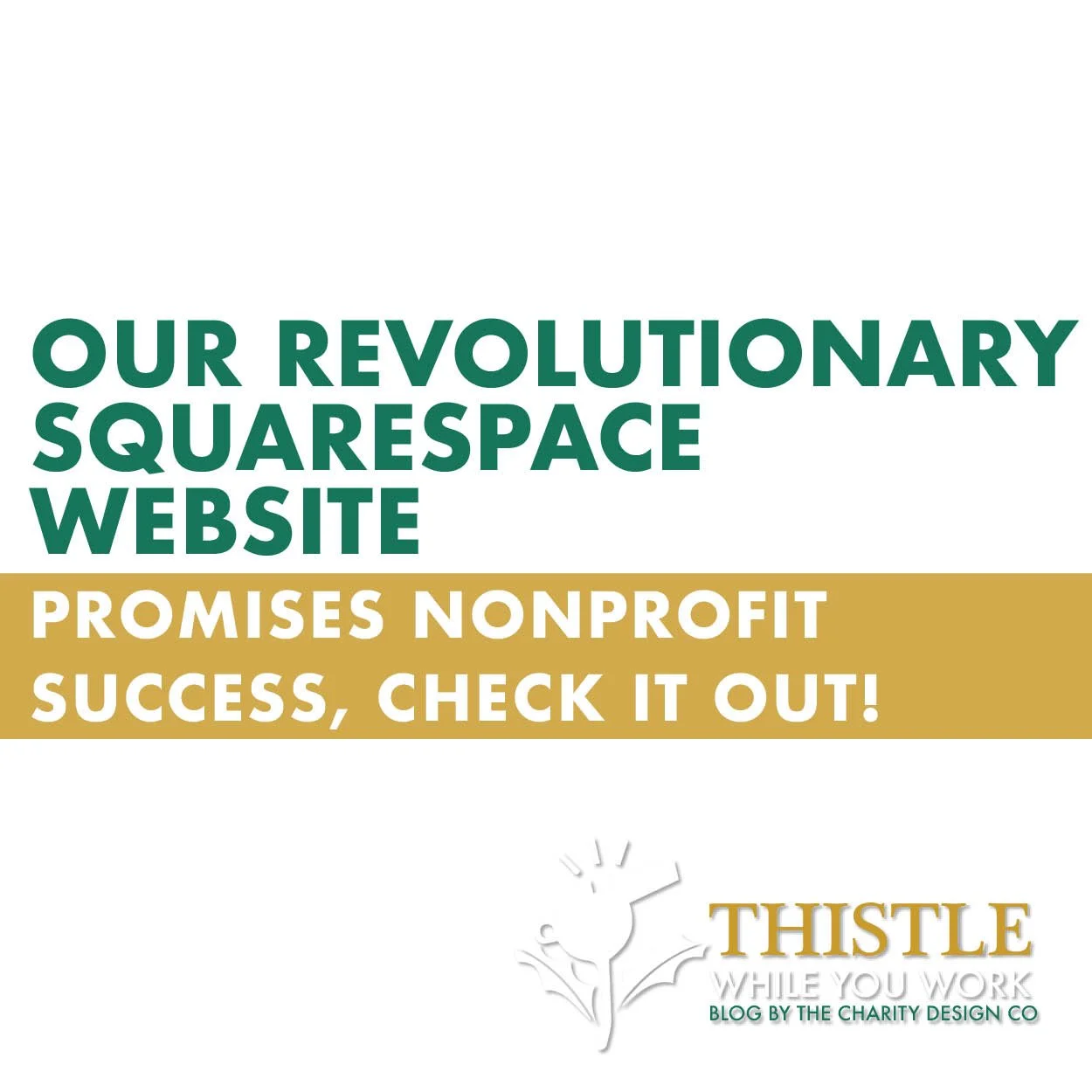 OUR REVOLUTIONARY SQUARESPACE WEBSITE PROMISES YOUR NONPROFIT SUCCESS, CHECK IT OUT!