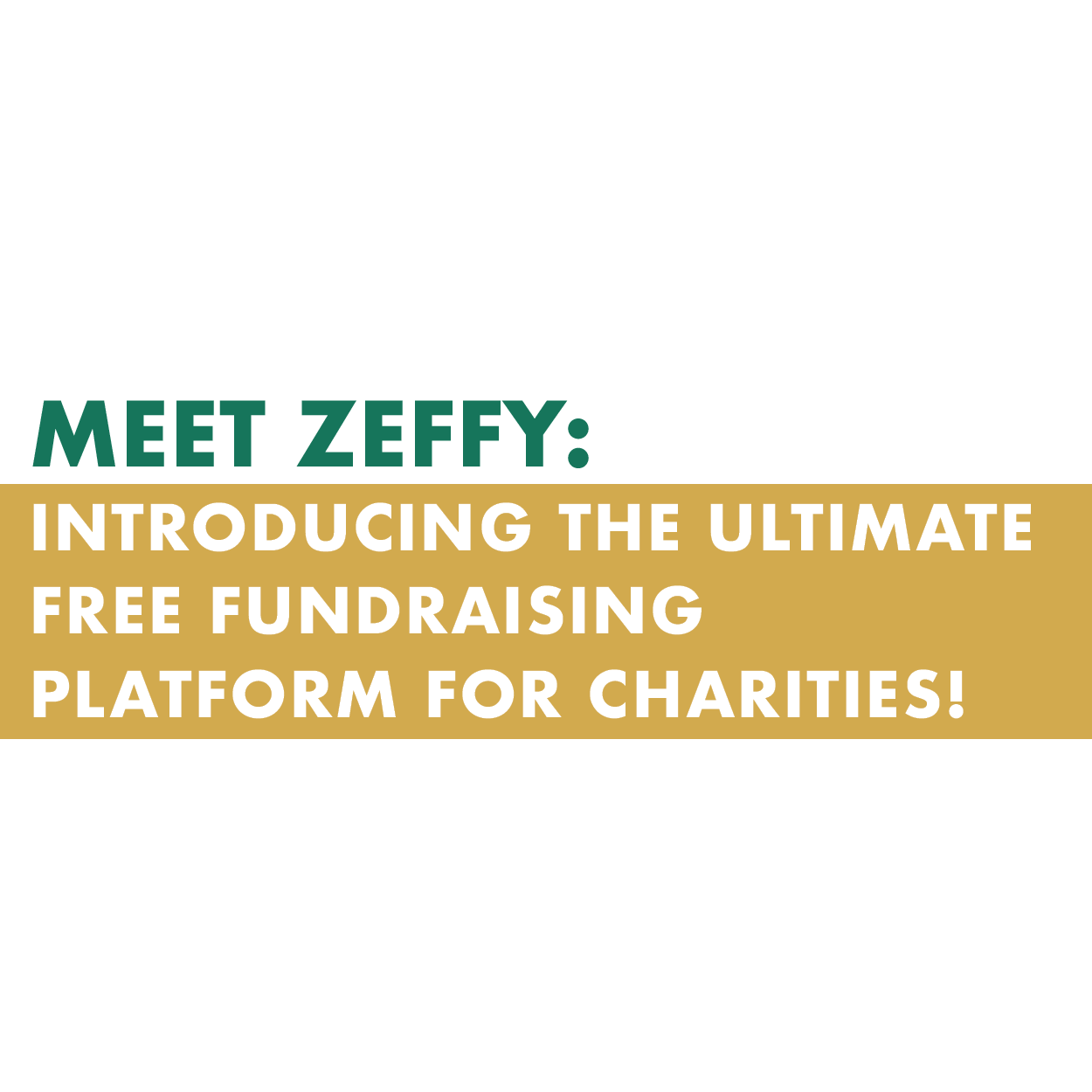 MEET ZEFFY: INTRODUCING THE ULTIMATE FREE FUNDRAISING PLATFORM FOR CHARITIES!