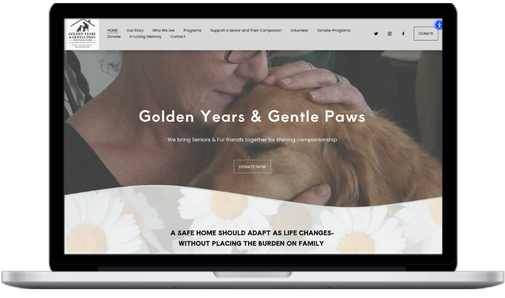 Golden Years & Gentle Paws