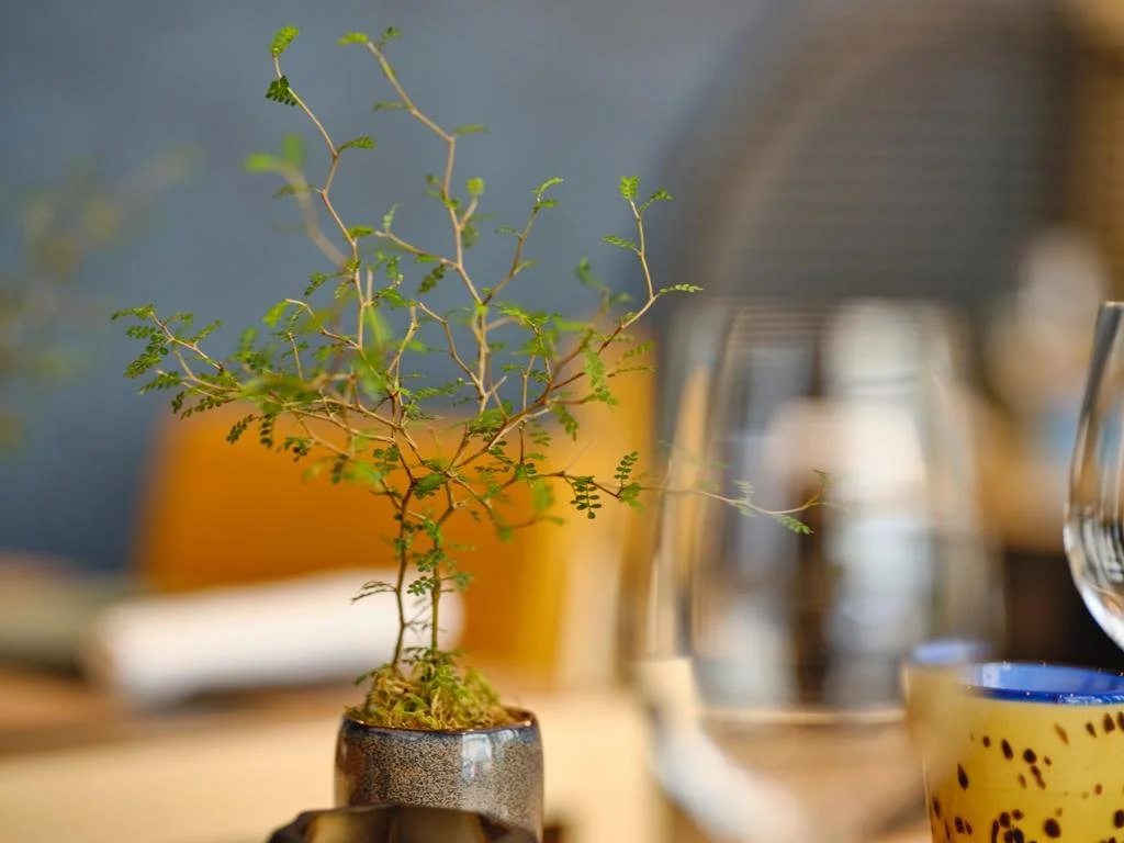 Oka Restaurant Project 22.jpeg