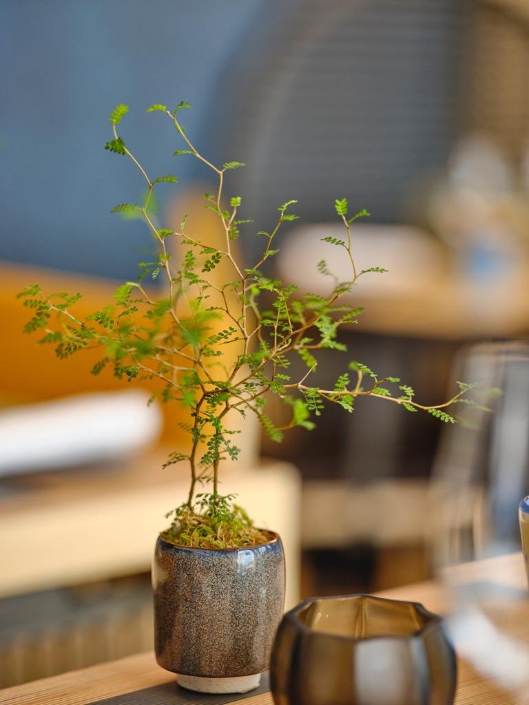 Oka Restaurant Project 21.jpeg