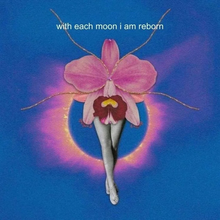 A surreal collage featuring a large pink orchid with human legs extending below it, set against a vibrant blue background with a glowing circle. Text at the top reads, 'with each moon I am reborn.'