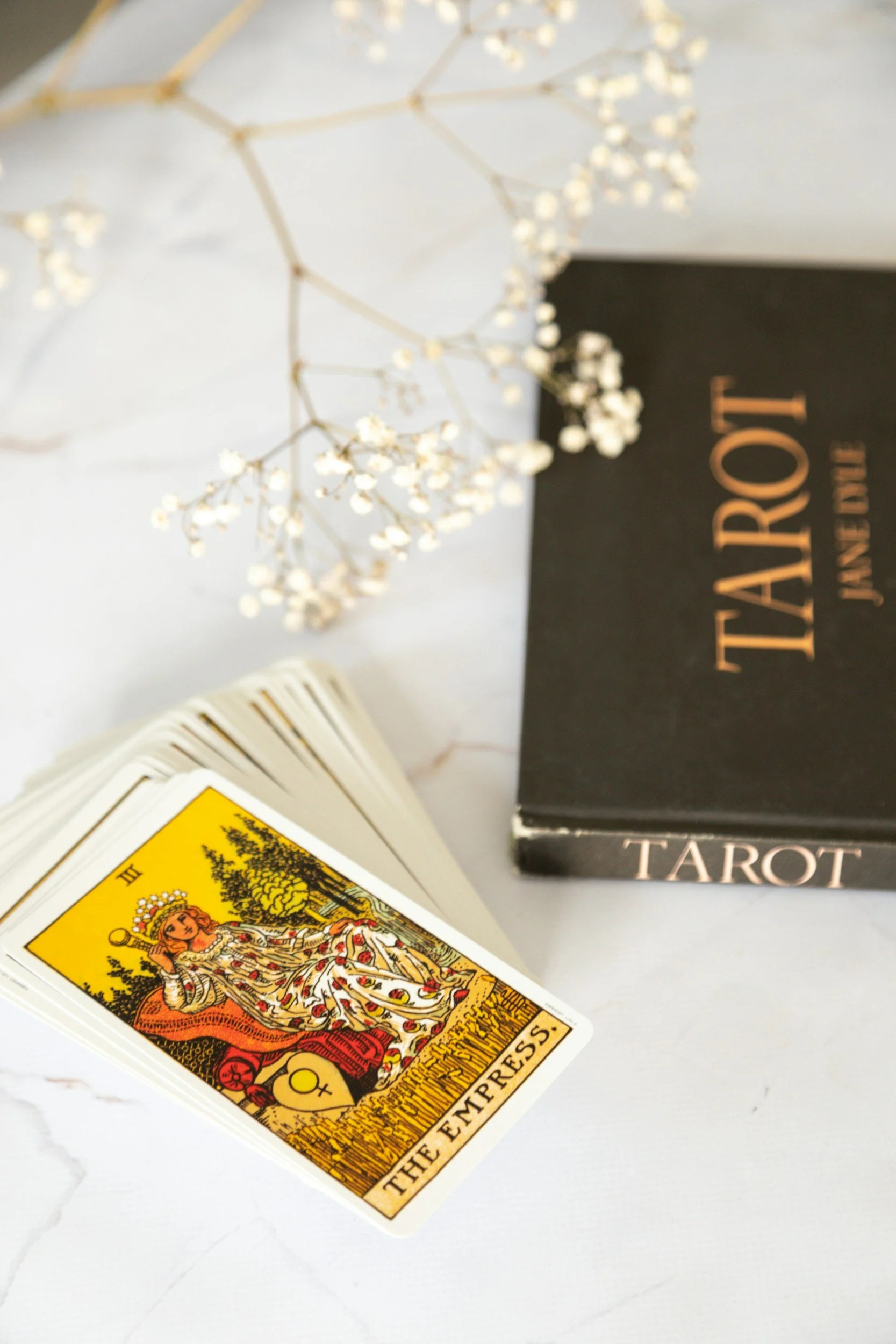 A tarot card reading set with a tarot card, tarot guidebook, and white flowers on a white surface.