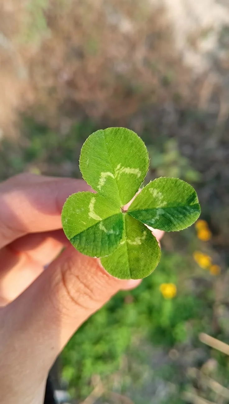 The Luck of The Irish