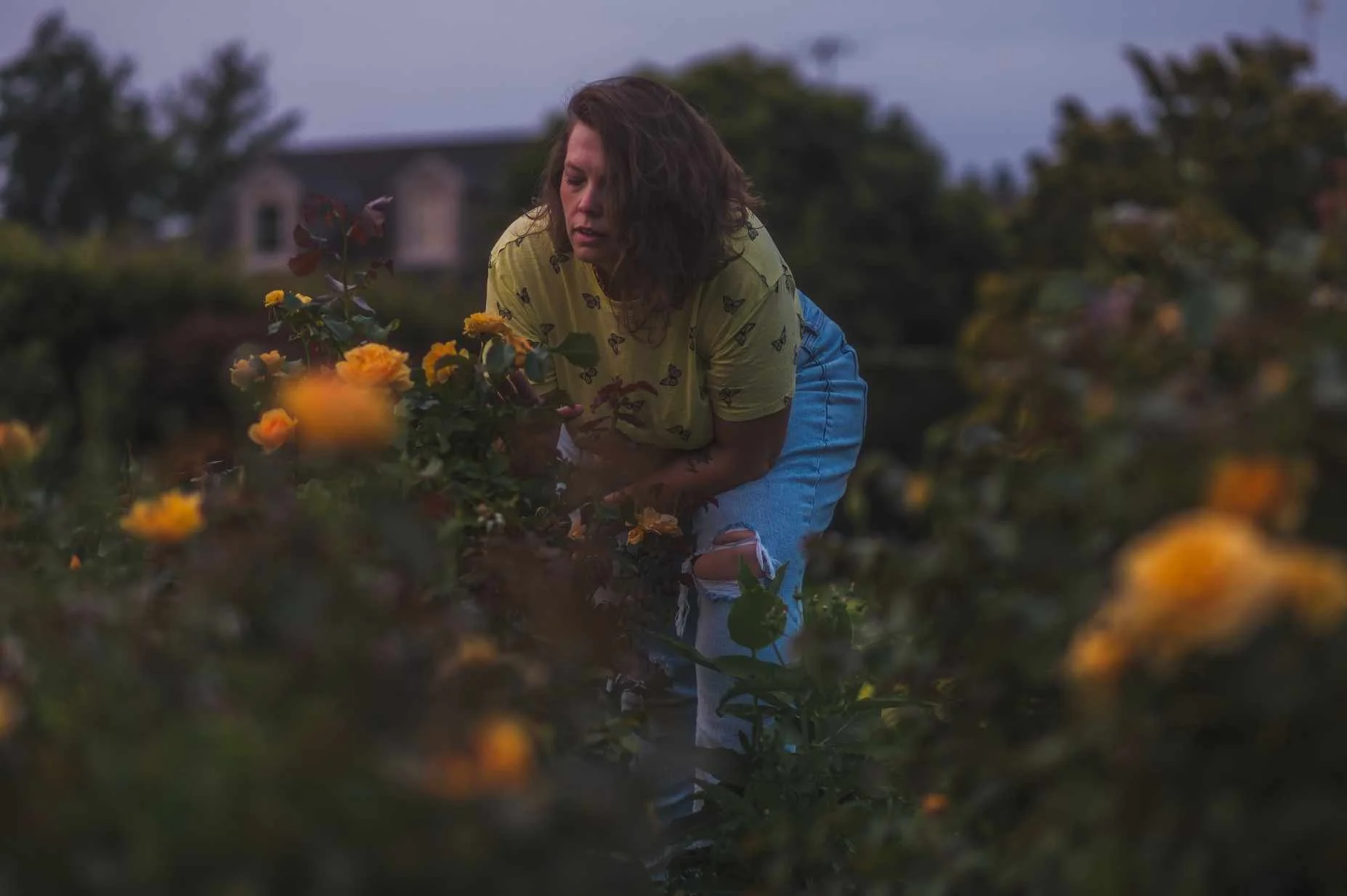 A woman with curly hair, wearing a yellow butterfly-patterned shirt and ripped jeans, picking yellow flowers in a garden during dusk.