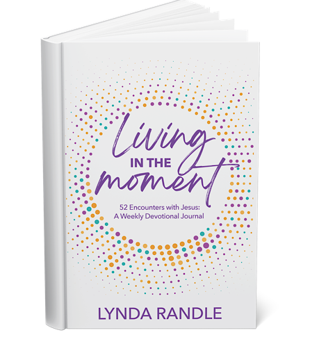 resizes lim mockup.PNG