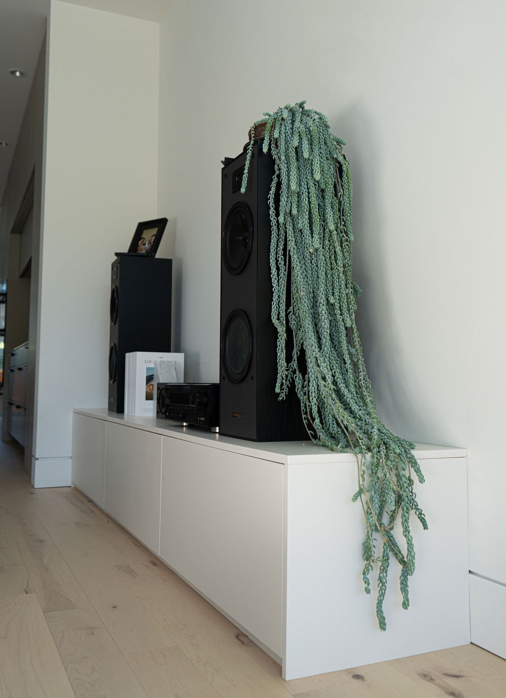 Custom Contemporary in Strathcona