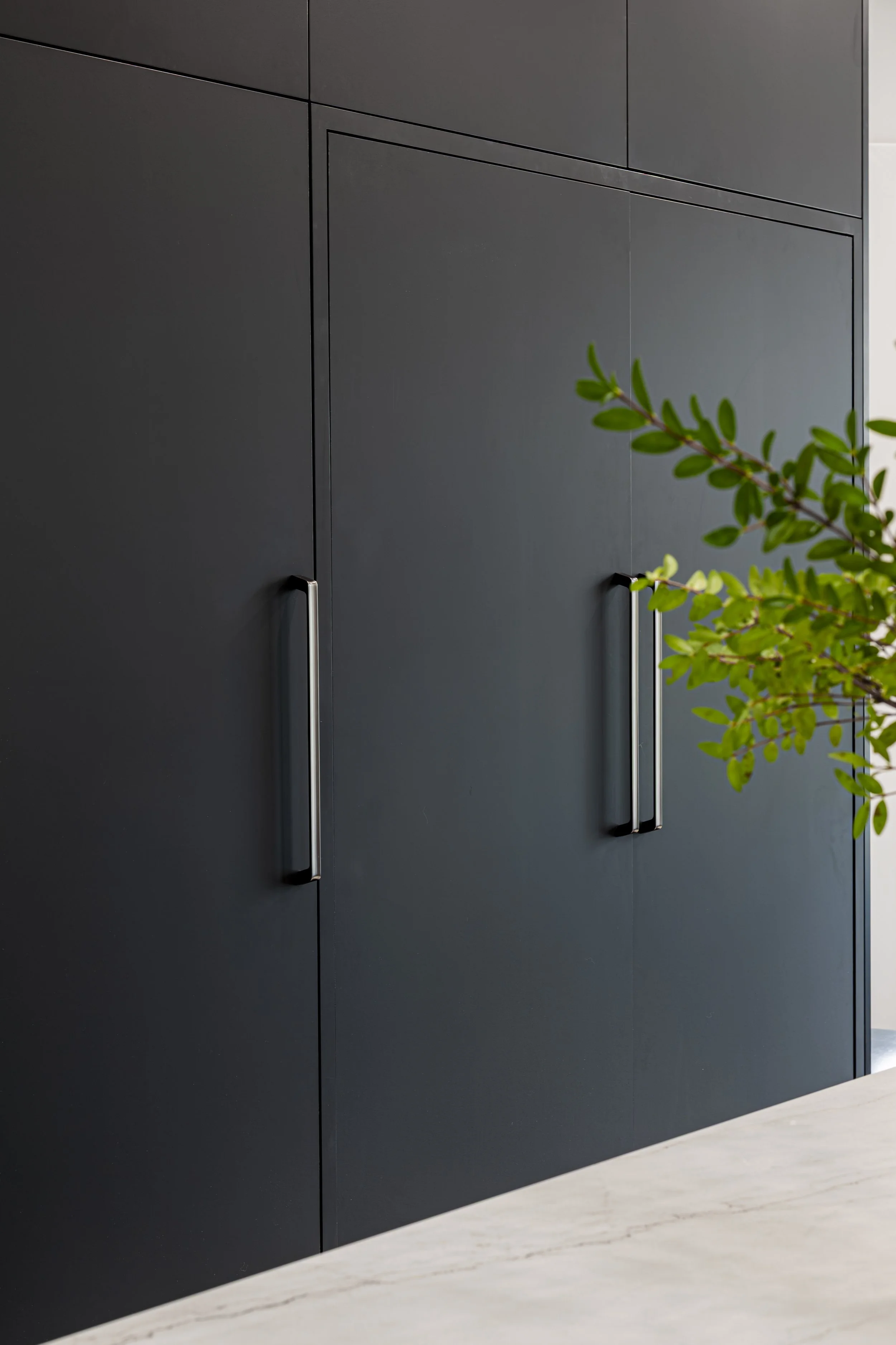 Custom Matte Black Cabinetry