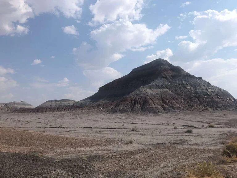 Petrified Forest National Park