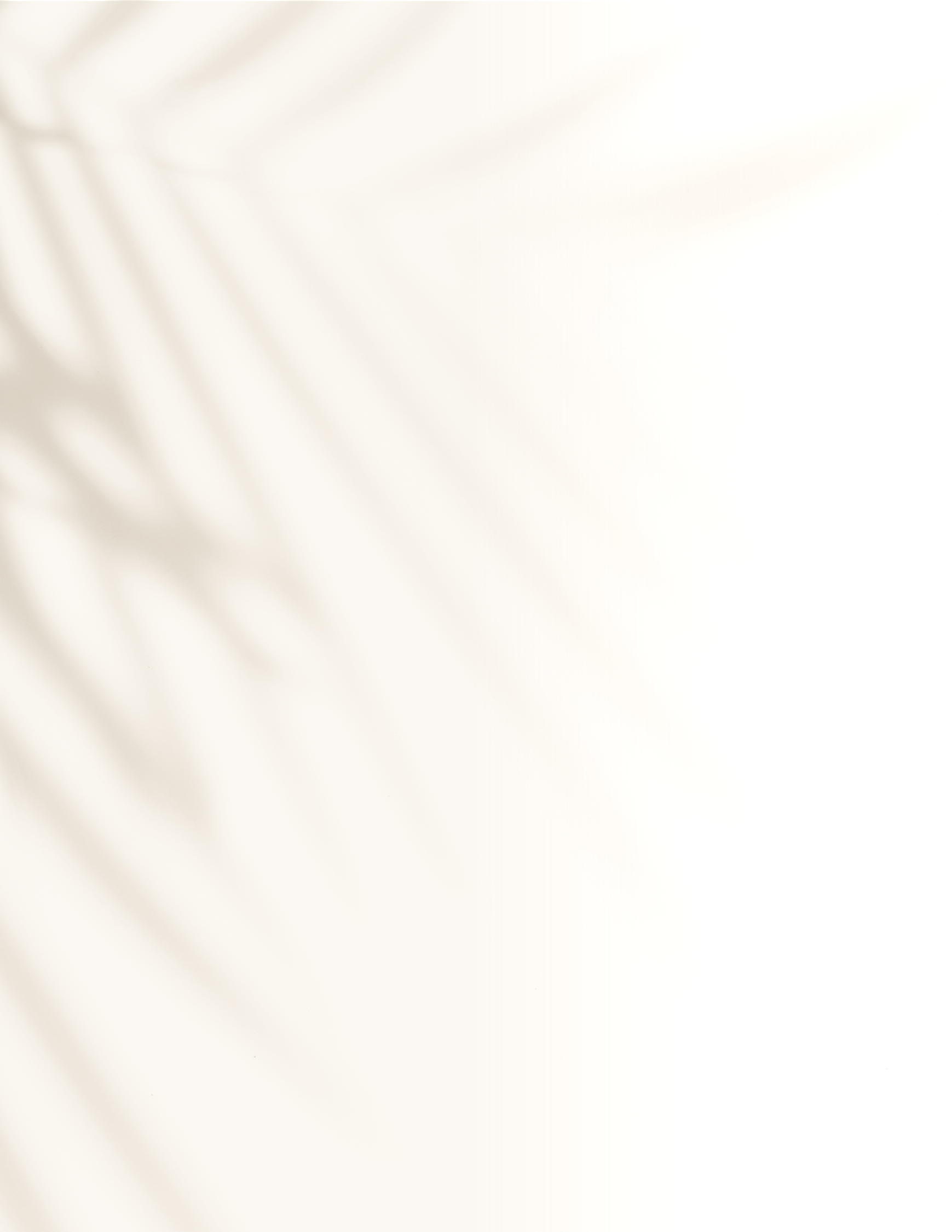 OAW Website Graphics (38).png