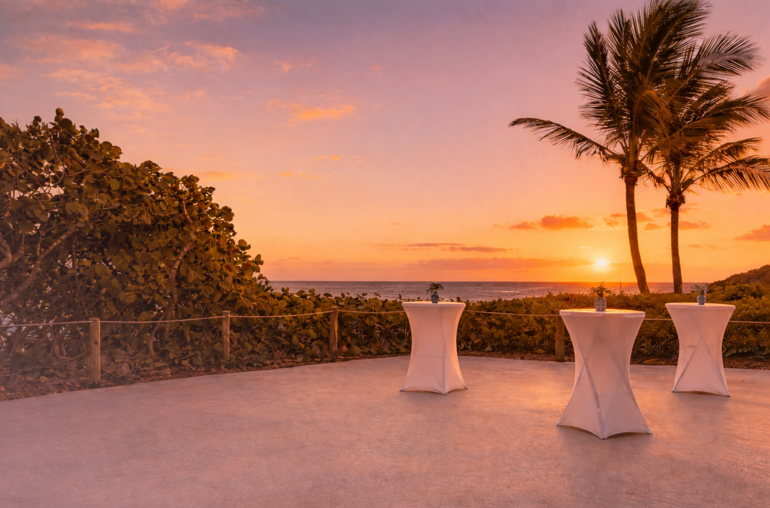 OAW Website Graphics (1).png