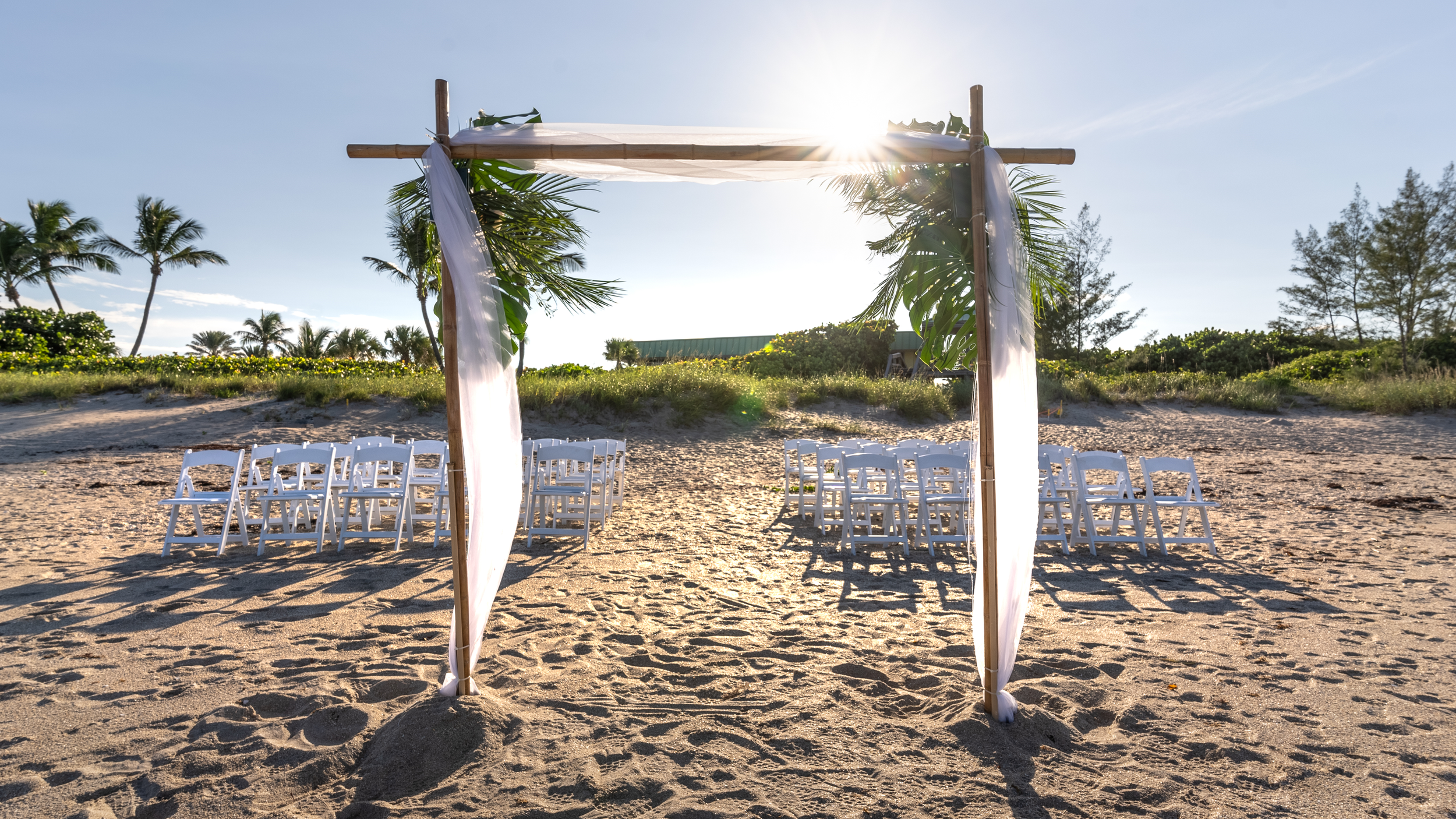 WeddingProp-9 75.png