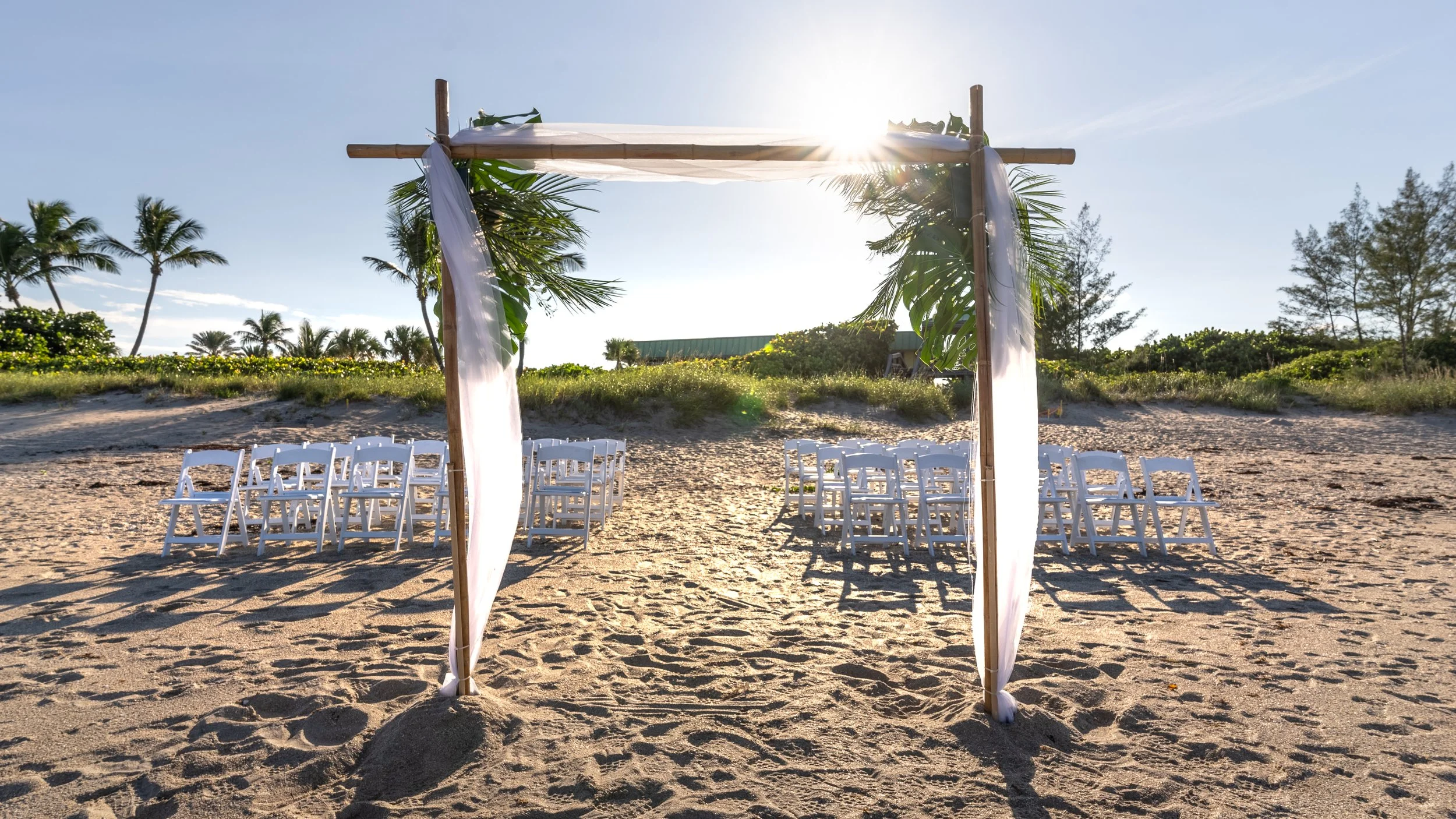 WeddingProp-9.jpg