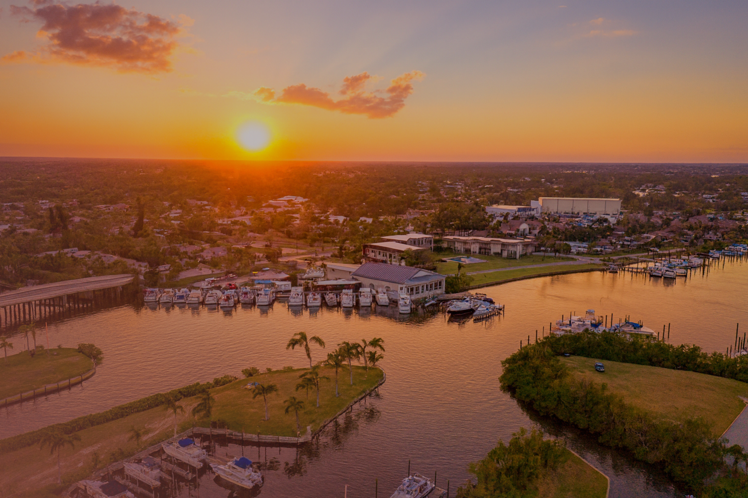 LP Graphic Stuff (5).png