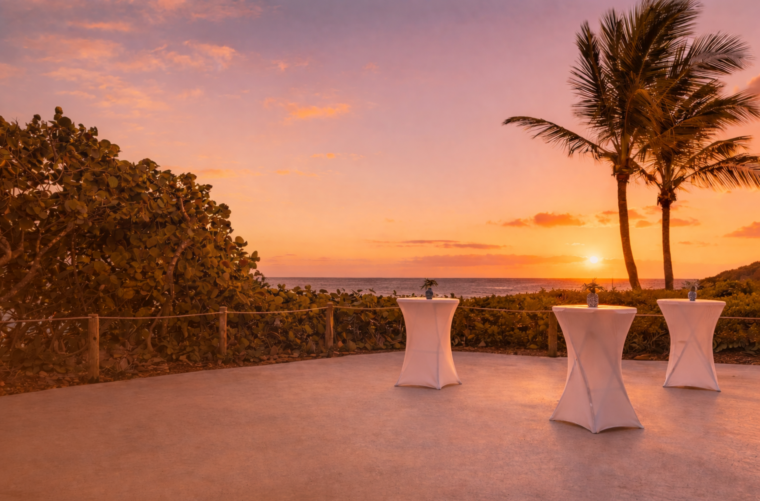 OAW Website Graphics (4).png