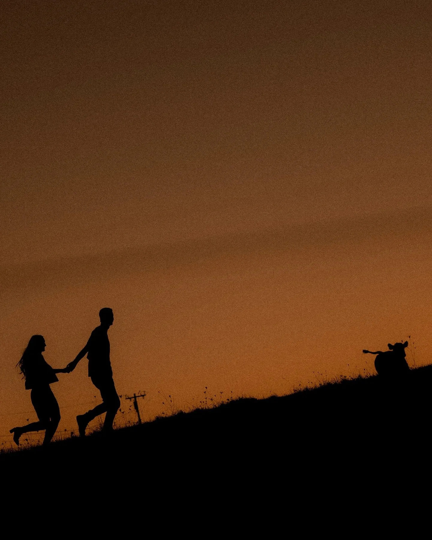Oh my gosh, this whole night was a dream.
Colby and Savannah on their family&rsquo;s farms, the glow, the fields, the laughs&hellip; and THE COWS 🐄 AHHH.
My heart can&rsquo;t handle sunsets like this.
We ran around until the sun dipped, and these tw