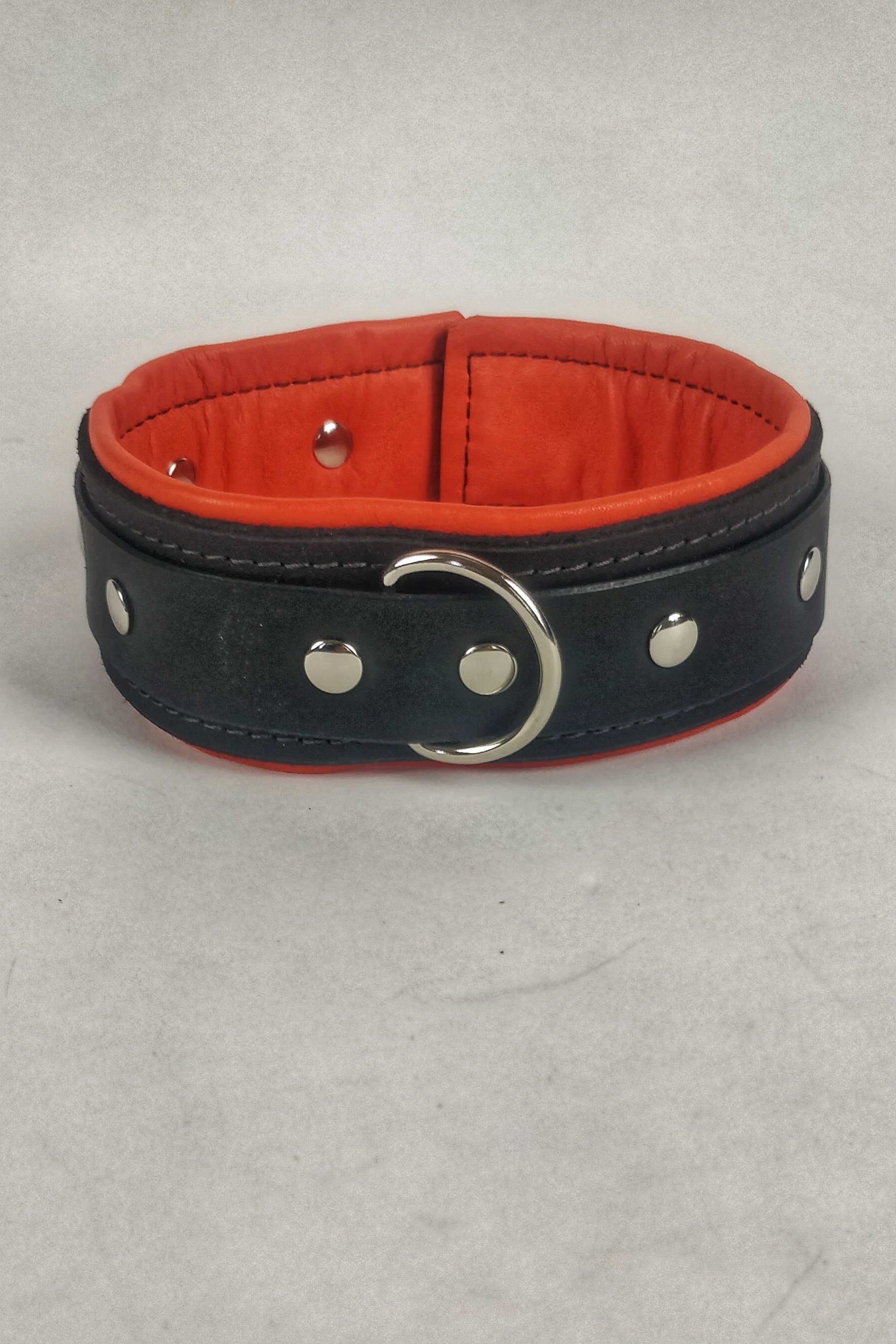 Orange Collar.jpeg