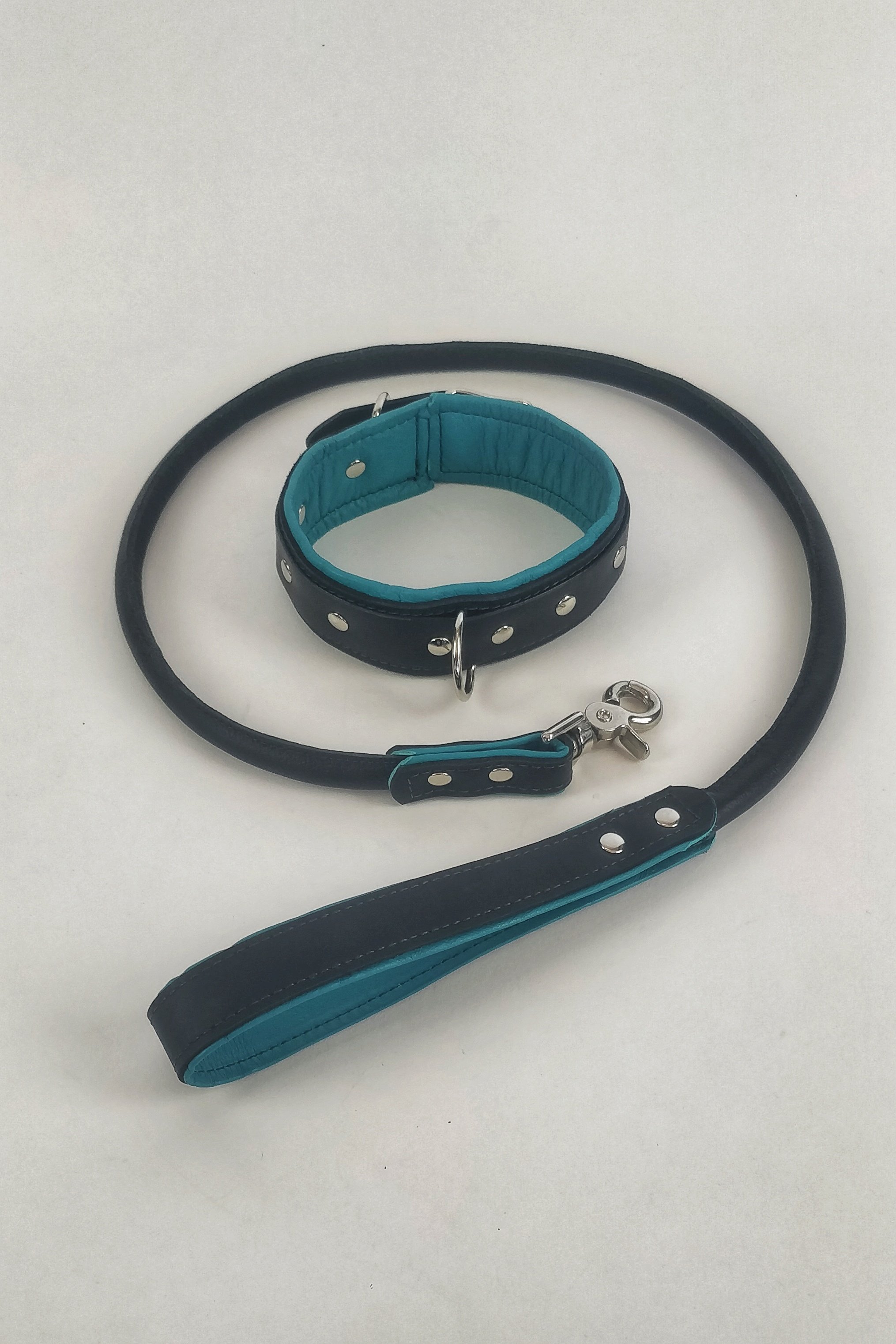 Teal Collar And Lead.jpeg