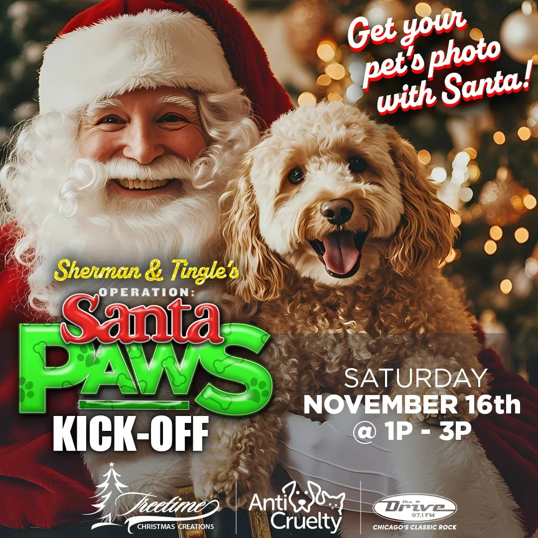 OperationSantaPaws24-KickOff-1080x1080.jpg