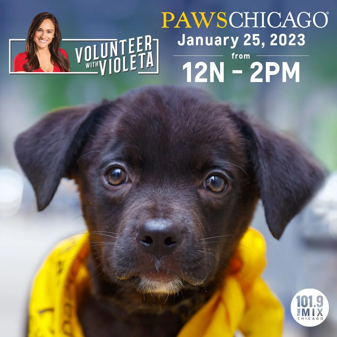 VolunteerwithVioleta23-PAWS-1080x1080.jpg