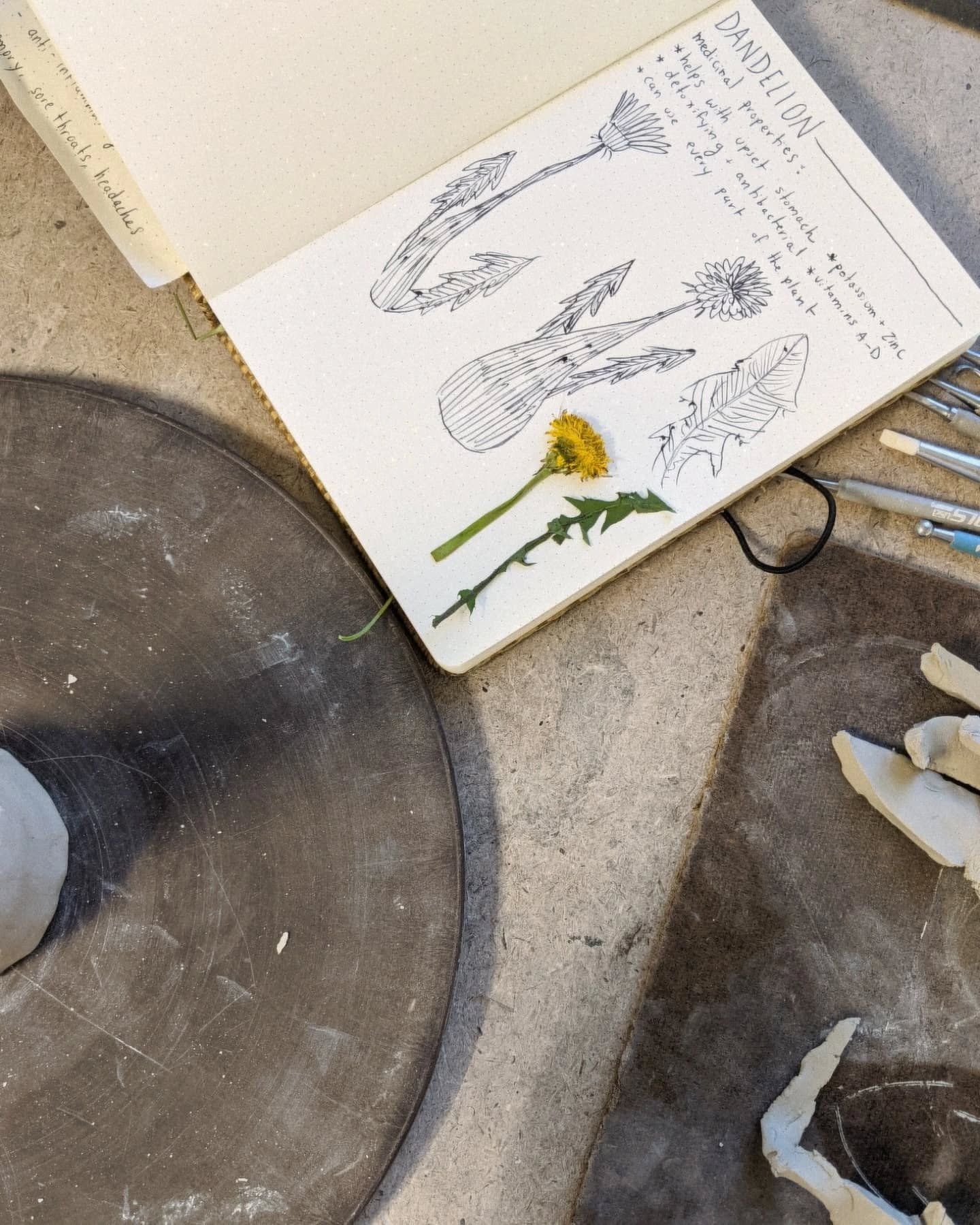 a rumination on the meaning of being an artist, as well as my personal life history for this past year:
I'll admit, I have not been present on this account nearly as much as I hoped. however, today was the installation of my fall show at @overturegal