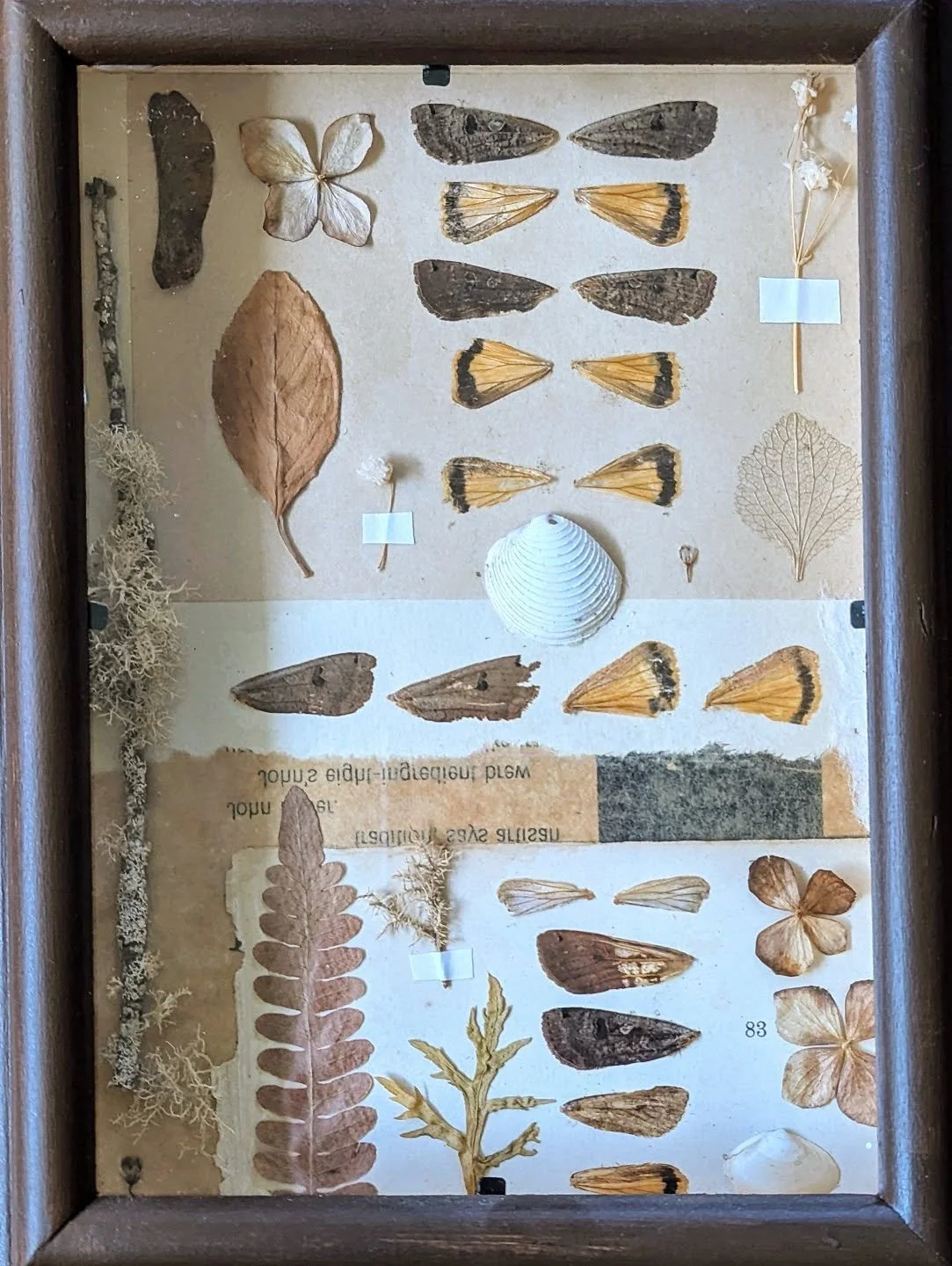 &quot;memory box IV&quot; is an assemblage of natural objects from home. cape cod beckons me every year, and I crave its caresses of salty air and calls of seagulls every summer that I was unable to dip my toes in the ocean. I created this piece as w