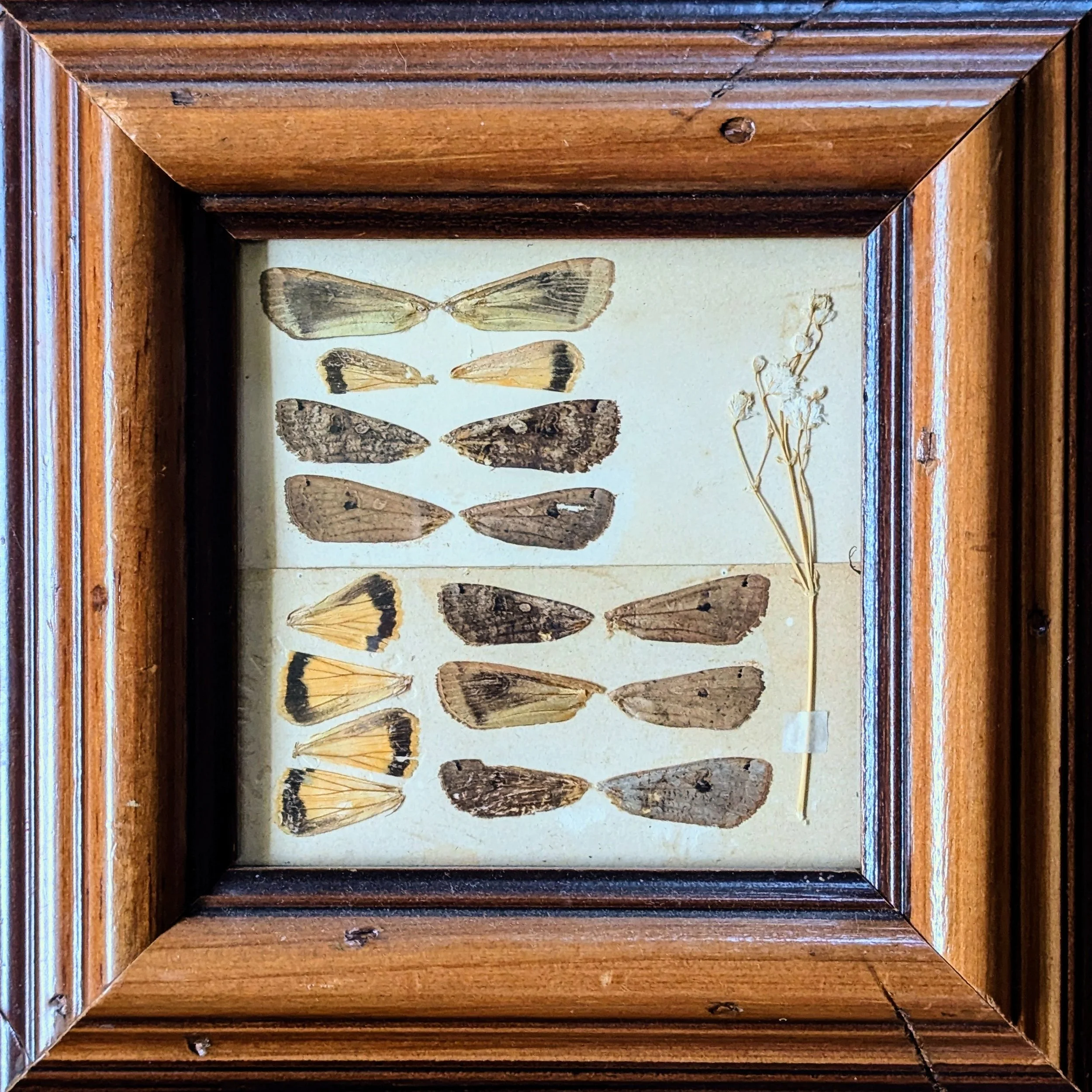 Memory Box I, mixed media, 2023.