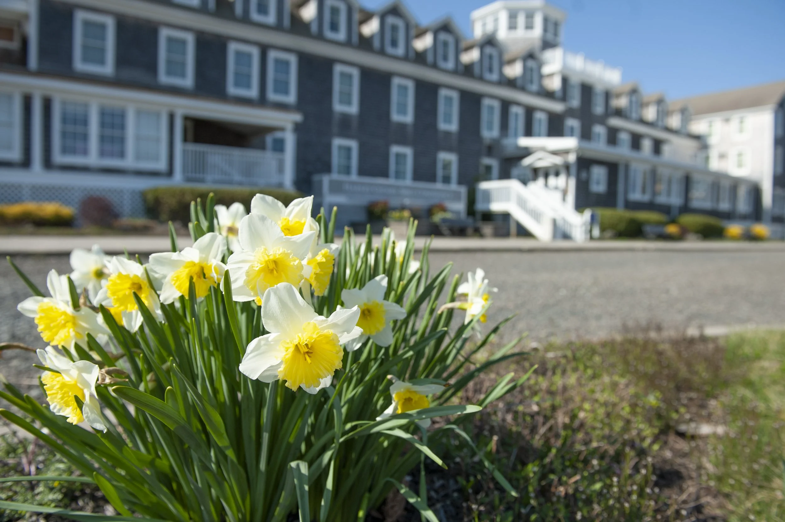 News — Harvey Cedars Bible Conference