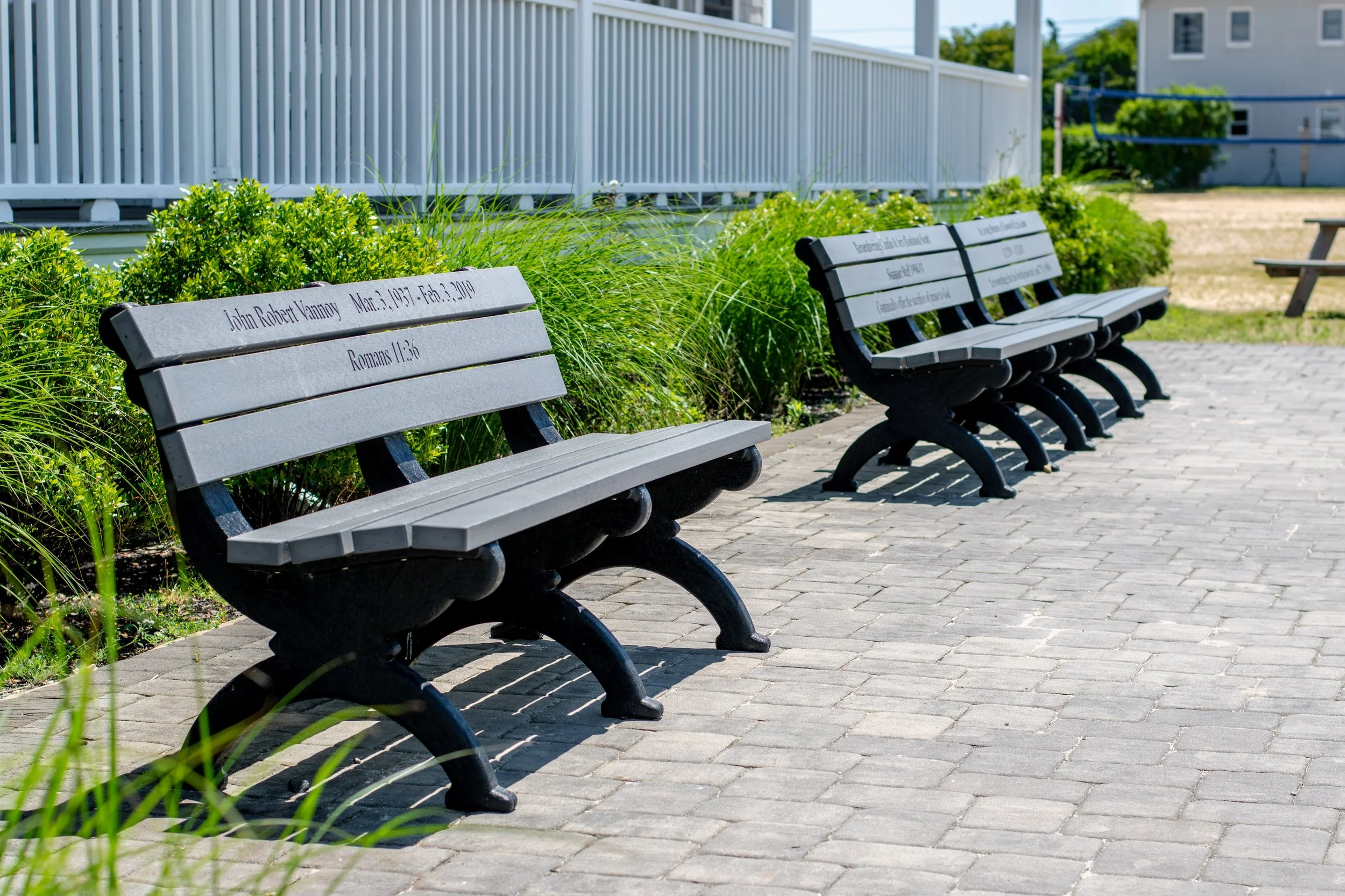 Three gray park benches on a paved walkway, with green shrubbery behind, in a sunny outdoor setting.