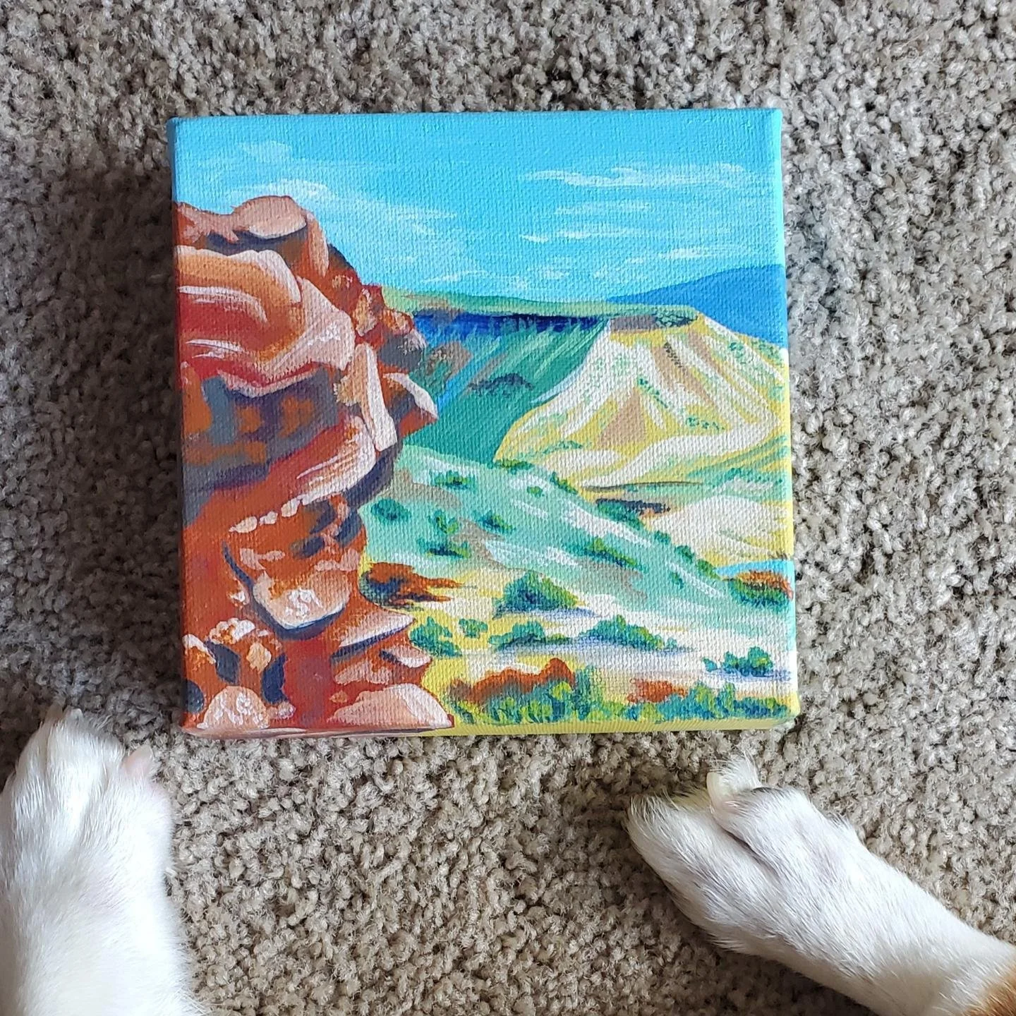 Desertscape Series #5
acrylic on canvas
2021