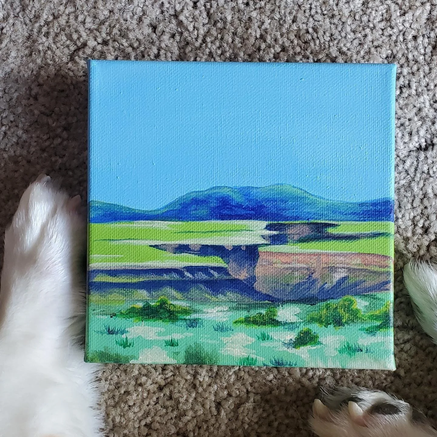 Desertscape Series #4
acrylic on canvas
2021